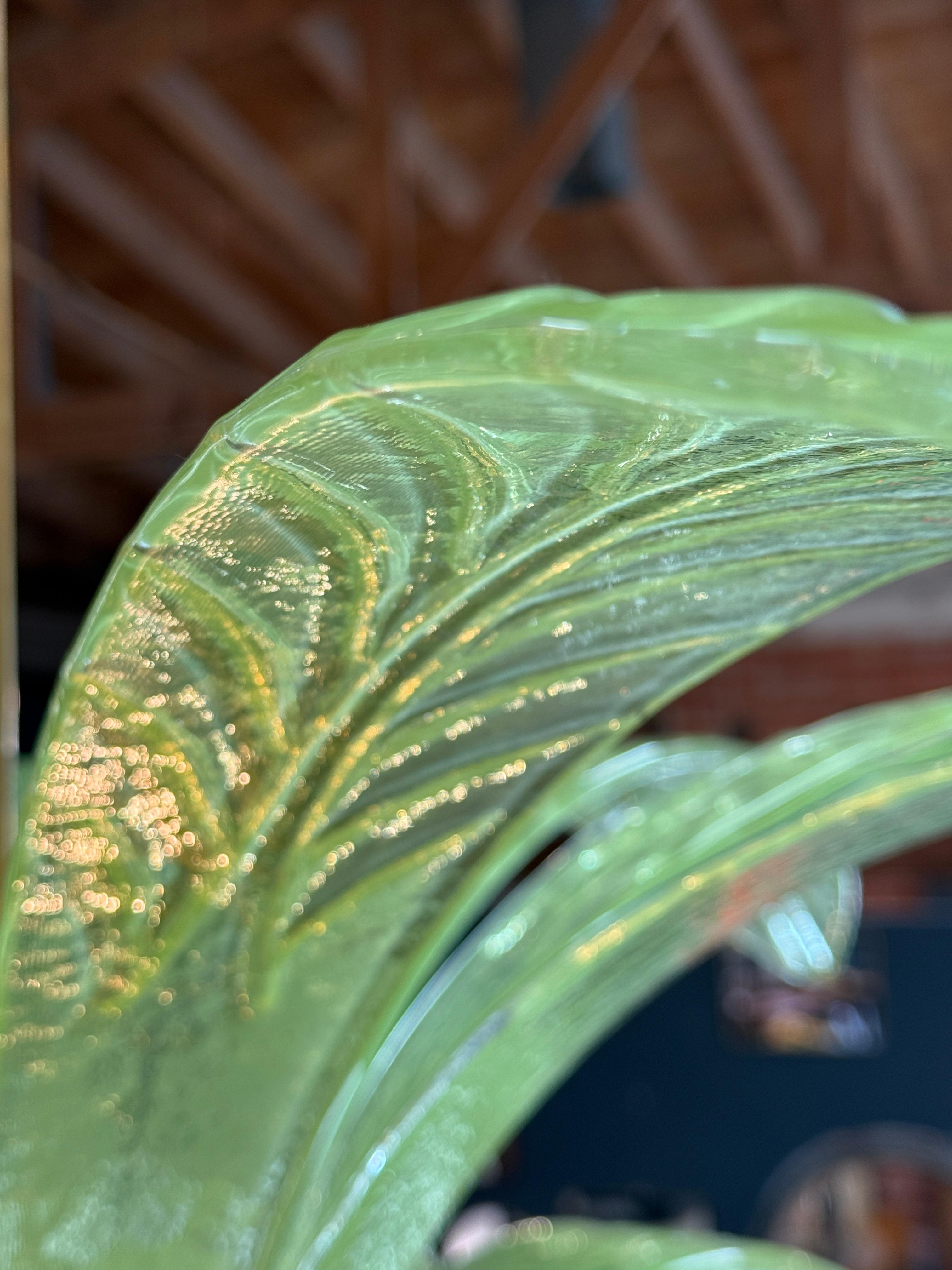 Murano Glass and Brass Chandelier in Green Glass Palm Leaves 2