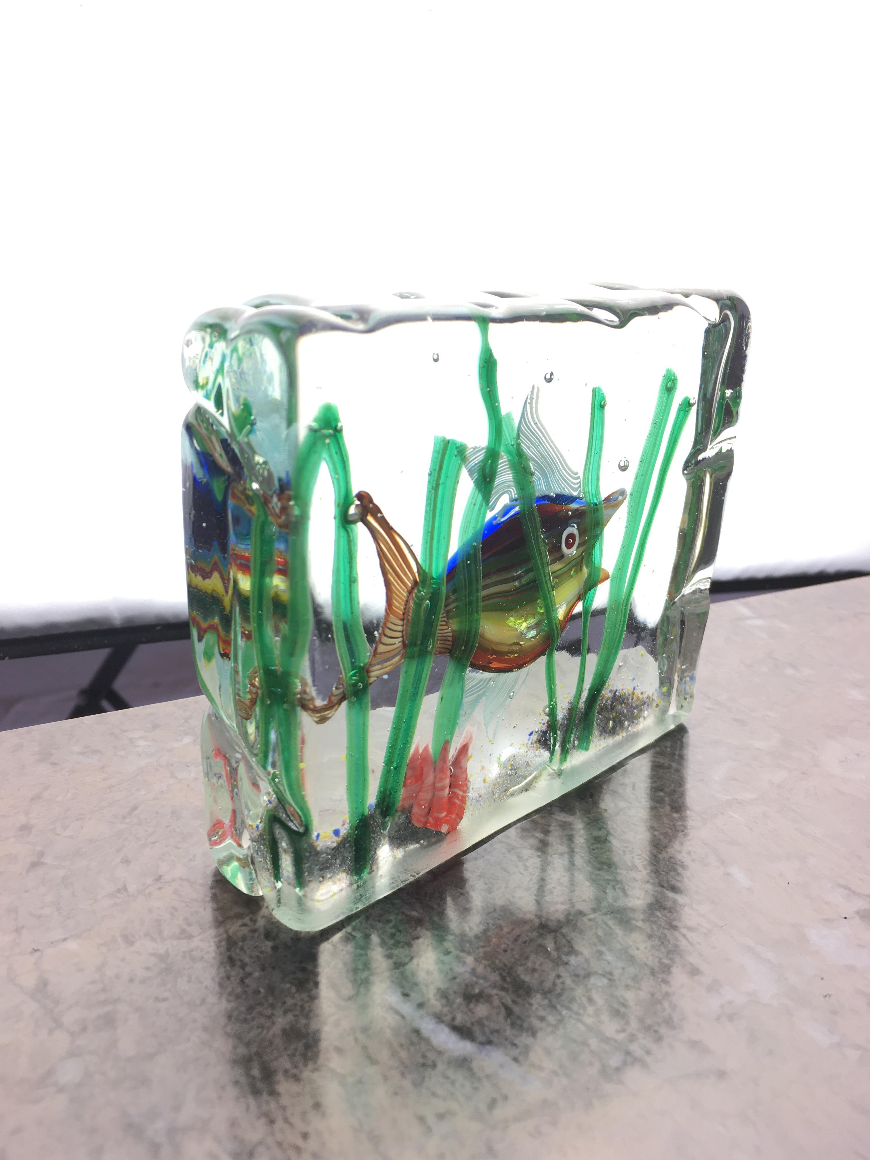murano aquarium block