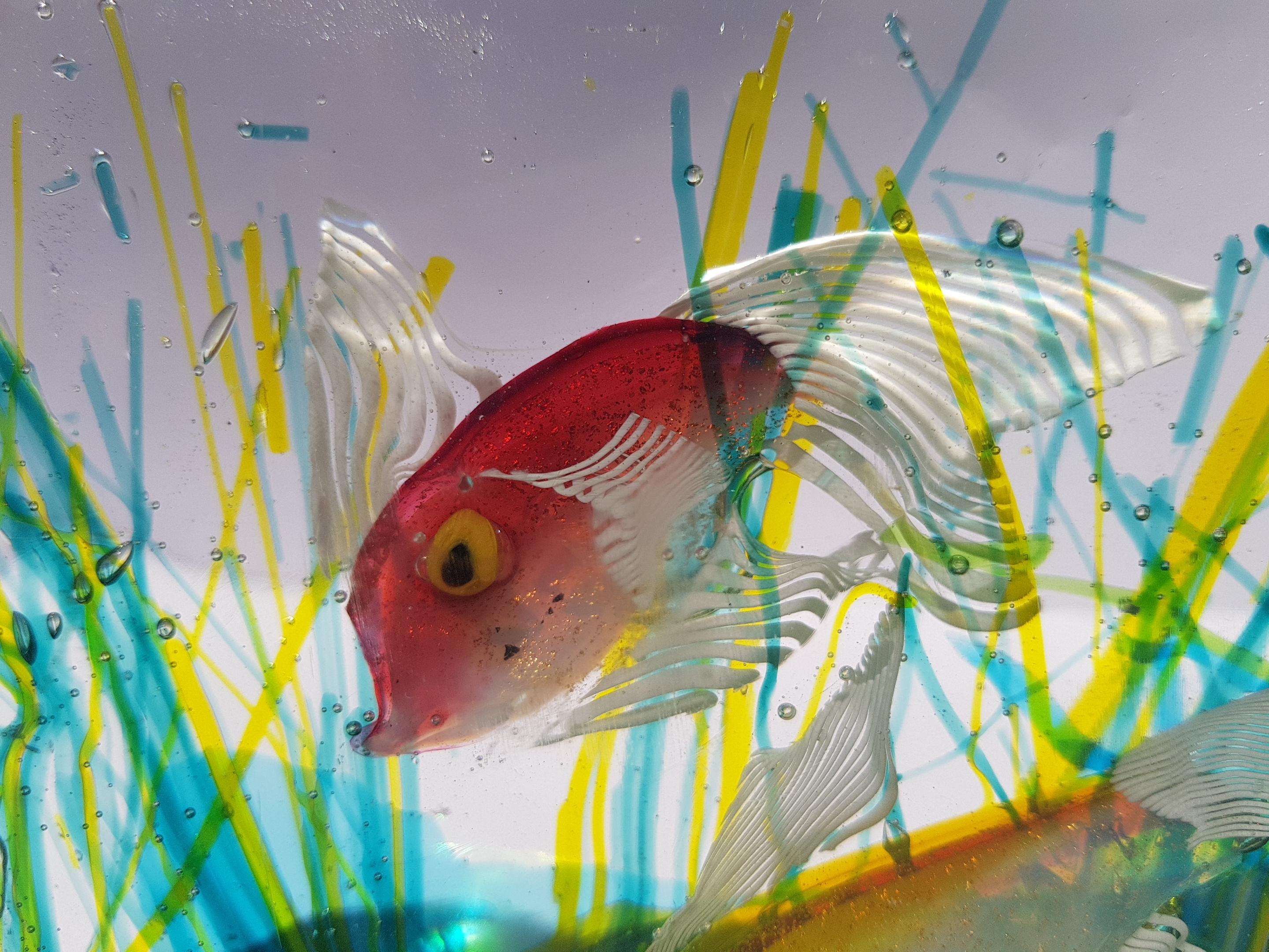 Murano Glass Aquarium Sculpture Block Alfredo Barbini Cenedese Art Glass Fish For Sale 3