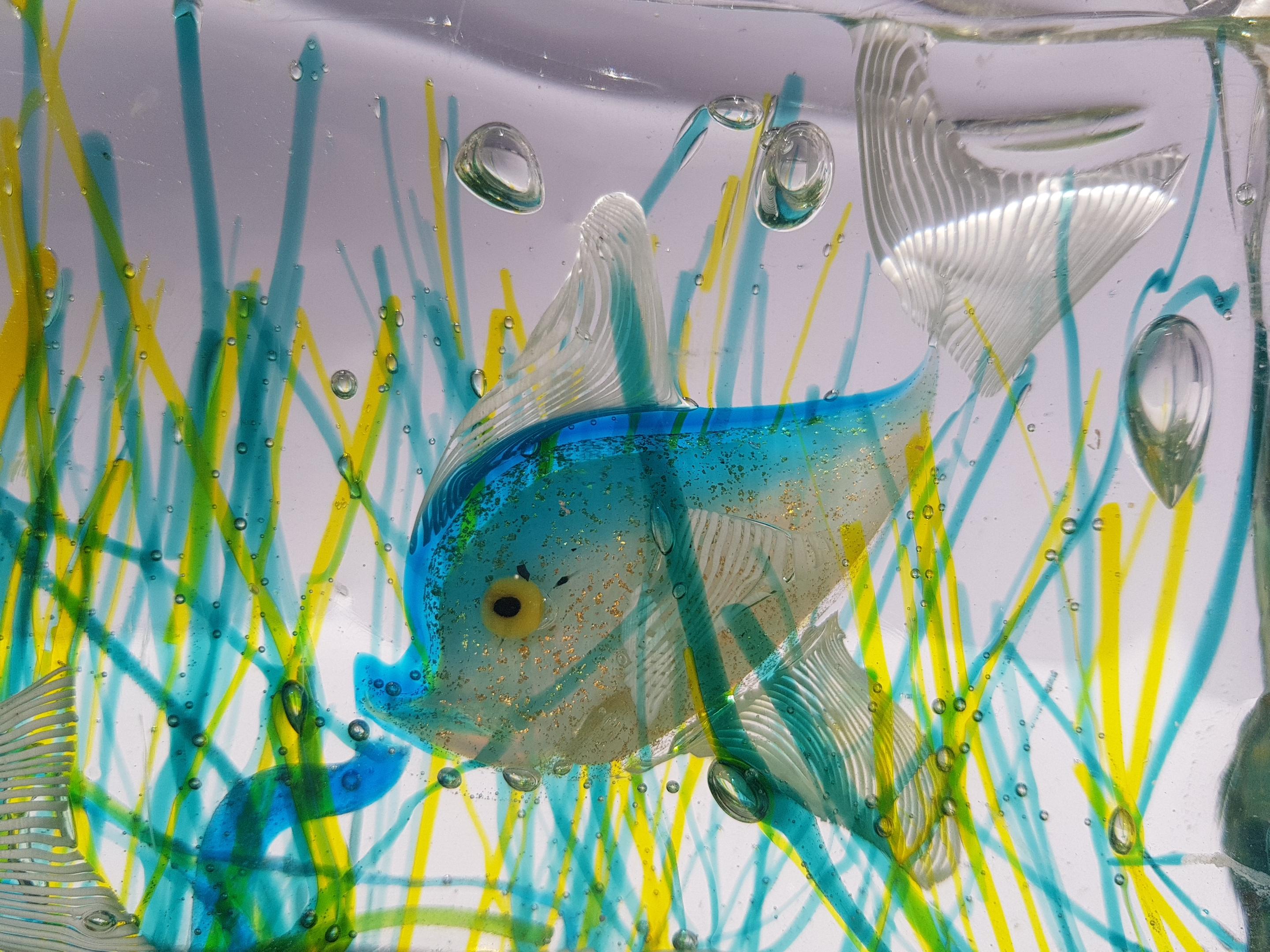 Murano Glass Aquarium Sculpture Block Alfredo Barbini Cenedese Art Glass Fish For Sale 6