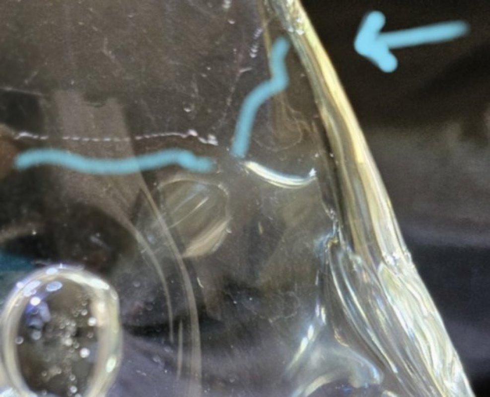 Scultura di pesce in vetro di Murano della metà del secolo scorso da 8,5 pollici, Licio Zanetti o Seguso in vendita 11