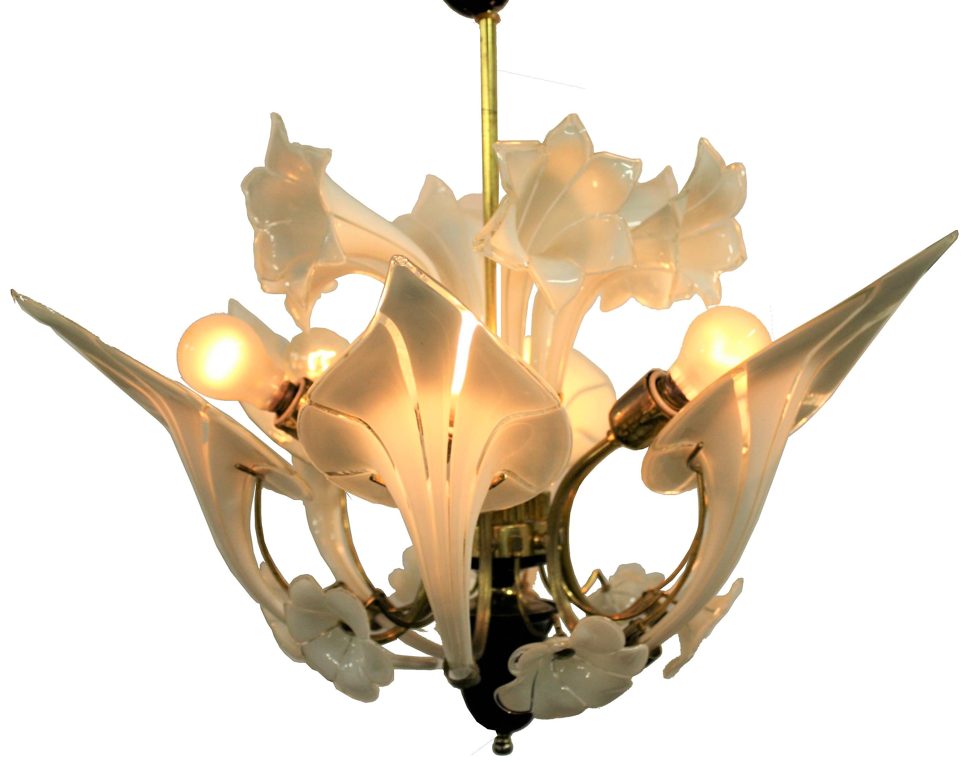 Midcentury flower chandelier made from clear on white Murano glass mounted in a 24kt gold plated brass armature.

Beautiful hand blown flower sculptures in different shapes make the chandelier wonderful to look at.

Once illuminated, it creates