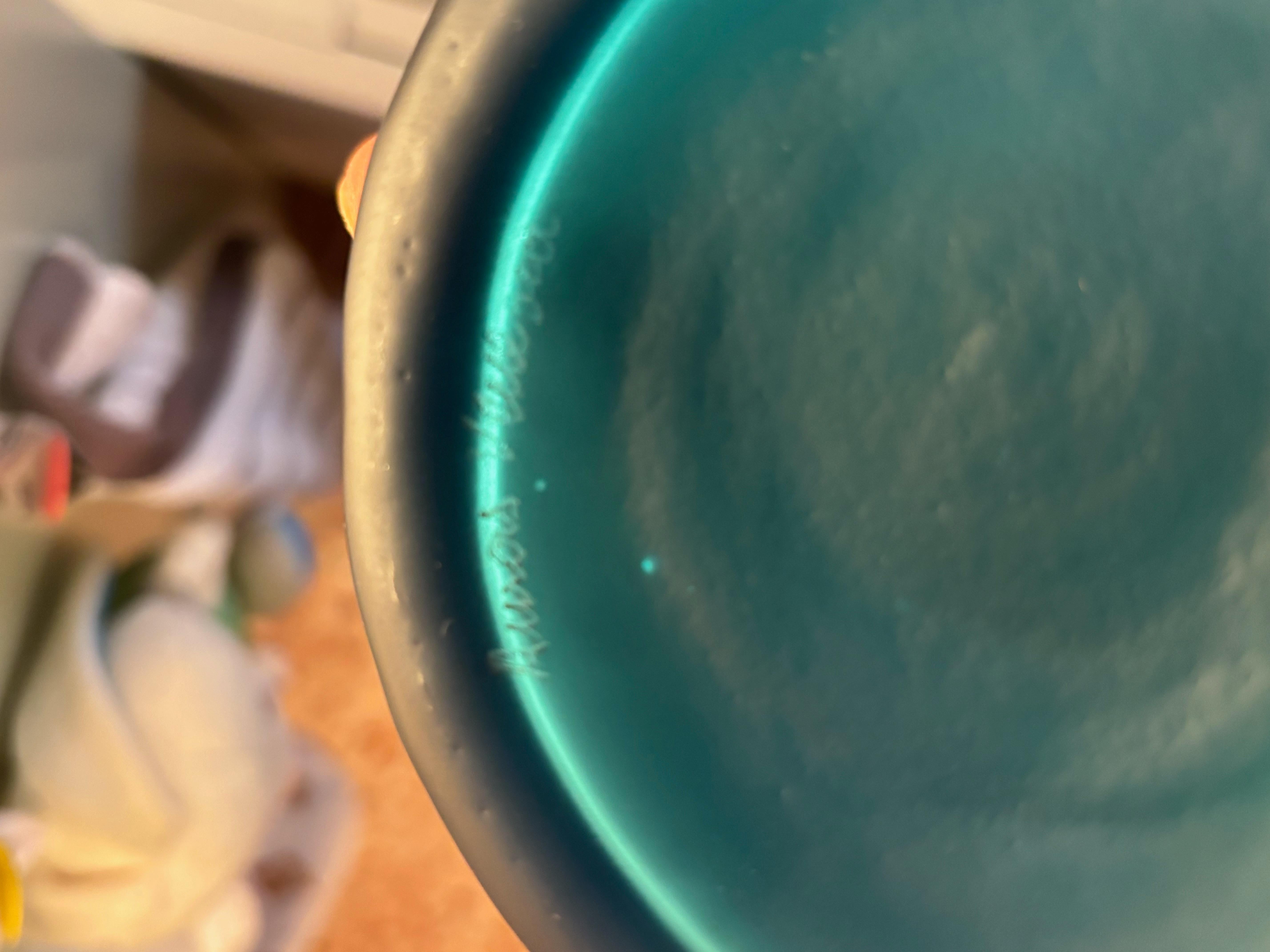 Murano-Glasvase Corteccia Model No. von Toni Zuccheri für Auras (Muranoglas) im Angebot