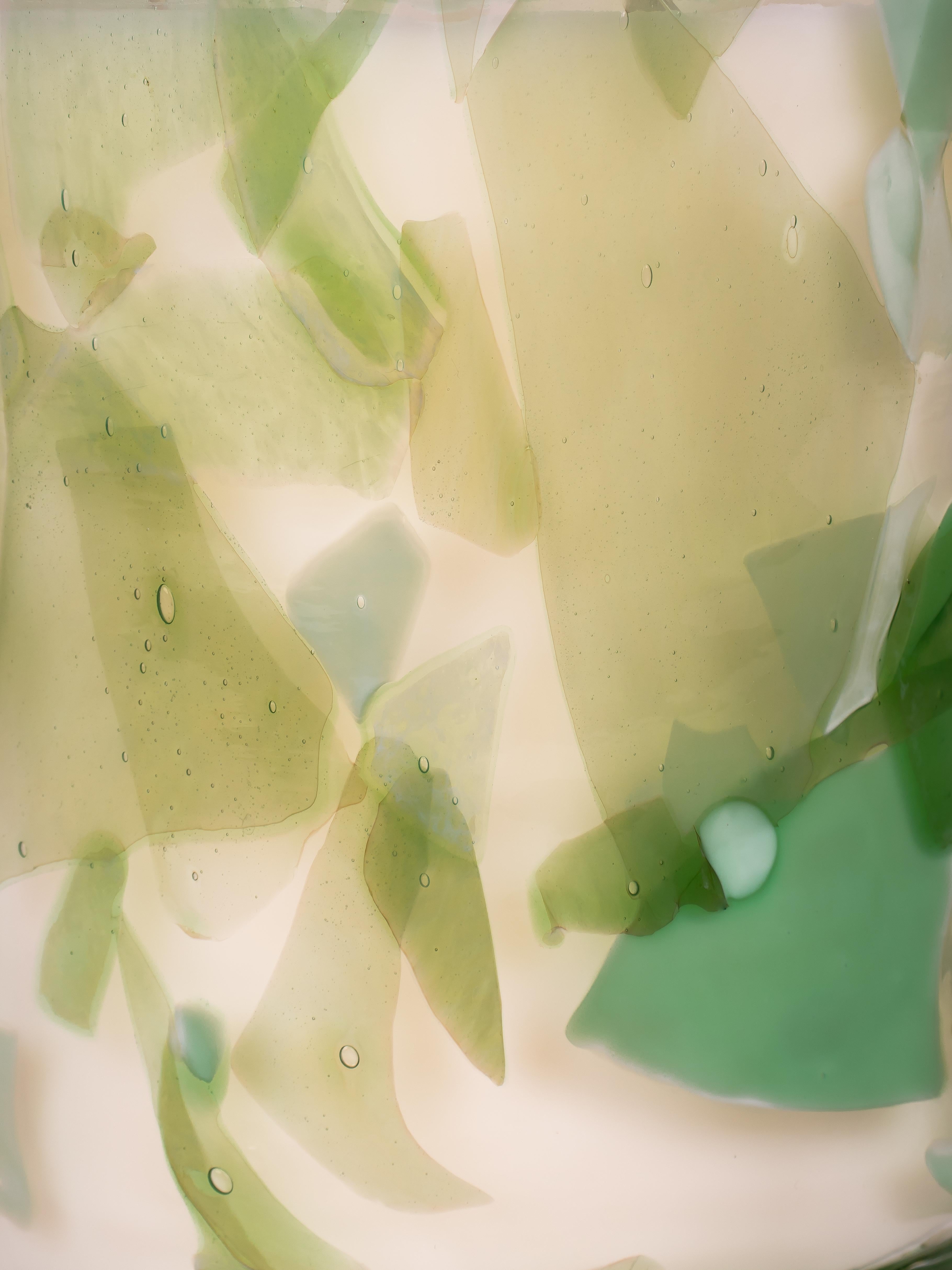 Lasciati avvolgere dalla fragranza rinvigorente della citronella con la candela profumata Jade di Stories Of Italy. Lascia che le note agrumate e zuccherine risveglino i tuoi sensi, trasportandoti in un lussureggiante paradiso tropicale. Il colore
