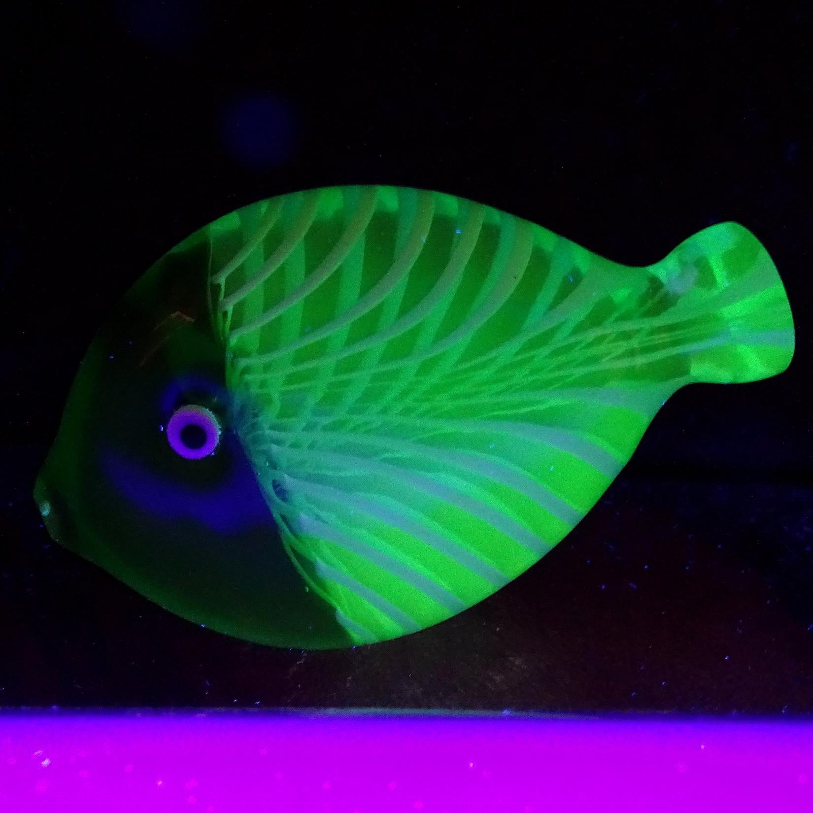 Beautiful vintage Murano hand blown Sommerso green, light blue and white stripe pattern Italian art glass fish figurine / sculpture. The fish is attributed to designer Galliano Ferro, for the Fornasa De Murano A L'Insegna Del Moreto company. The