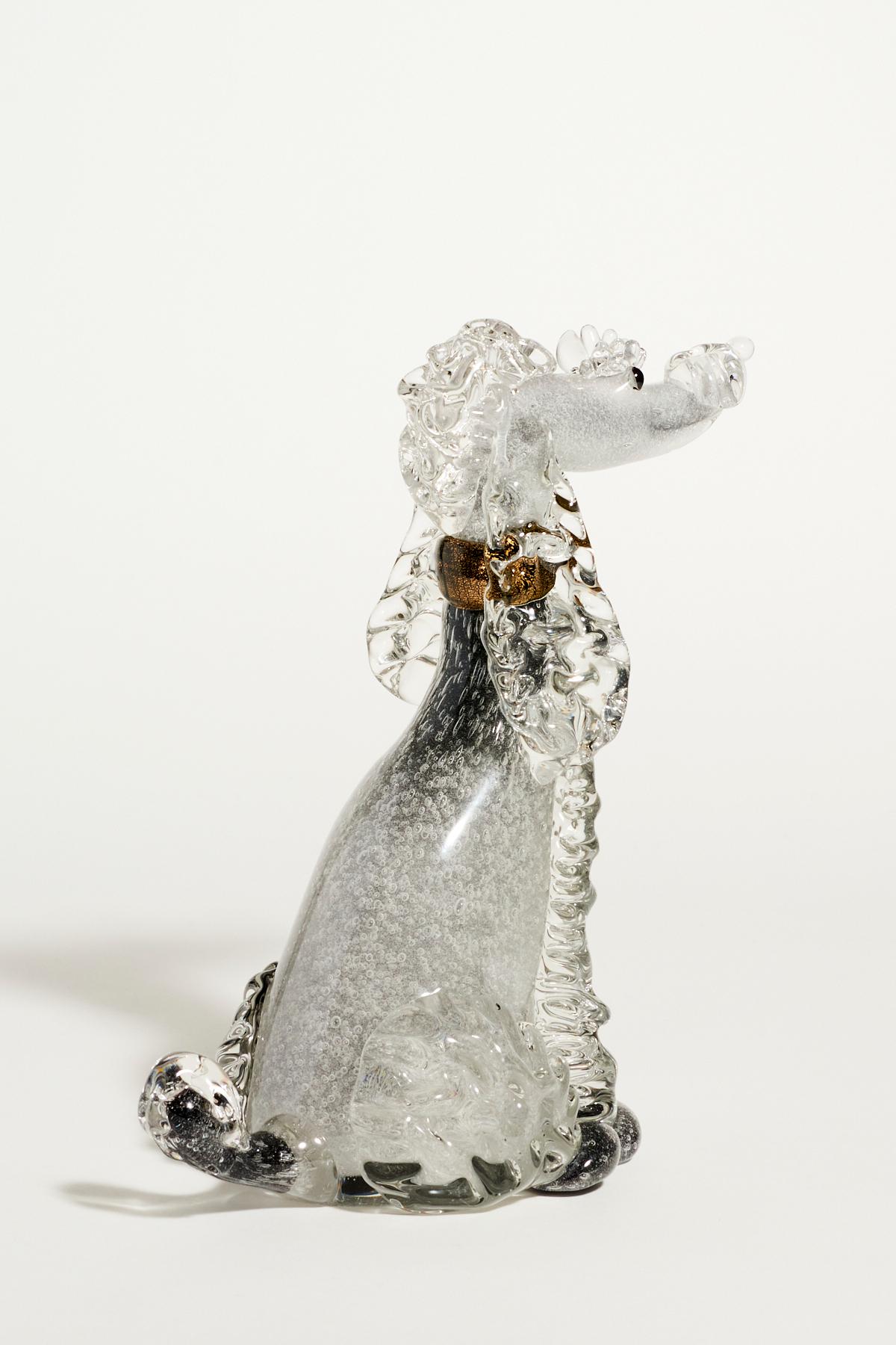 grey poodle