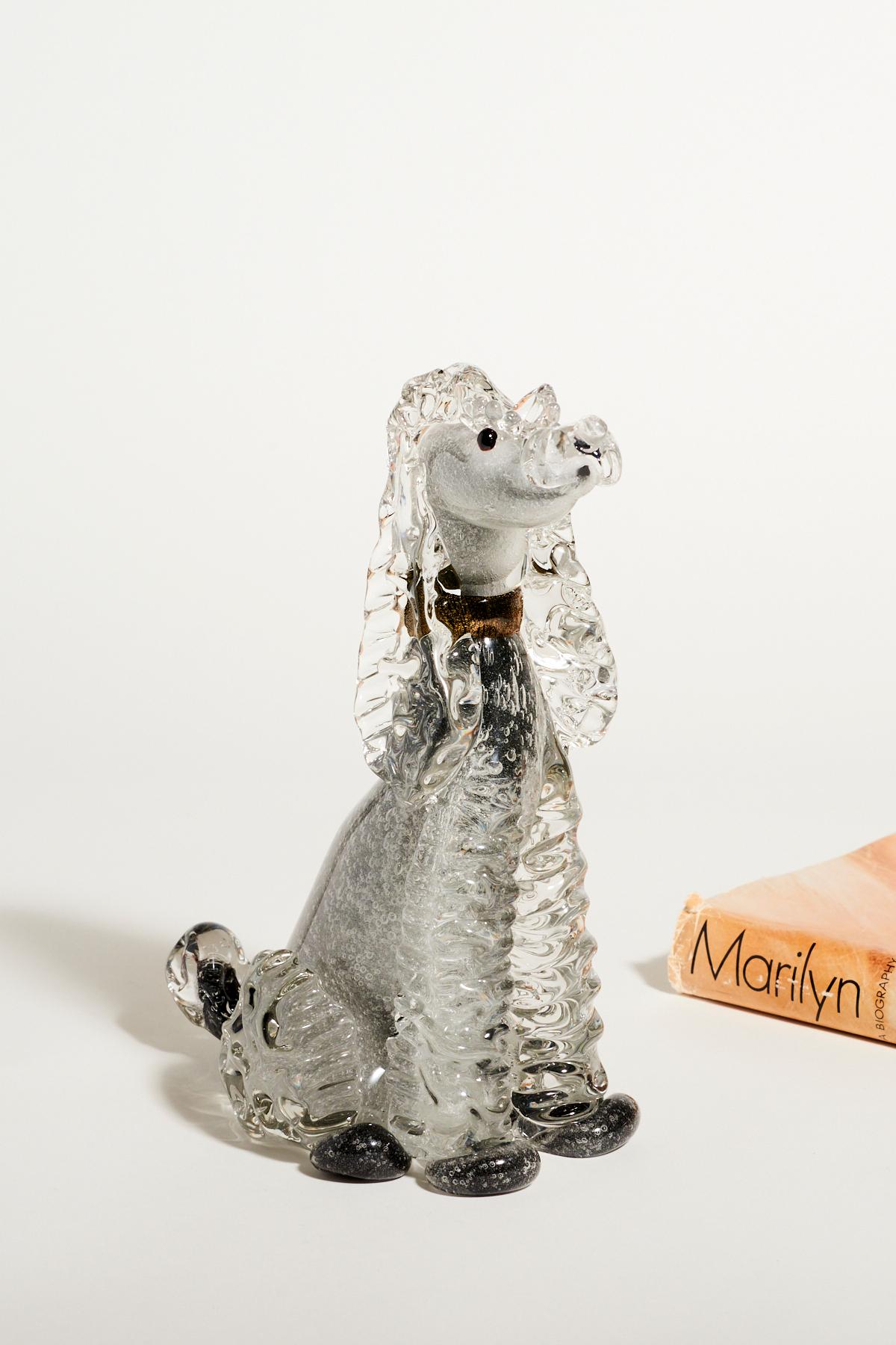 murano poodle