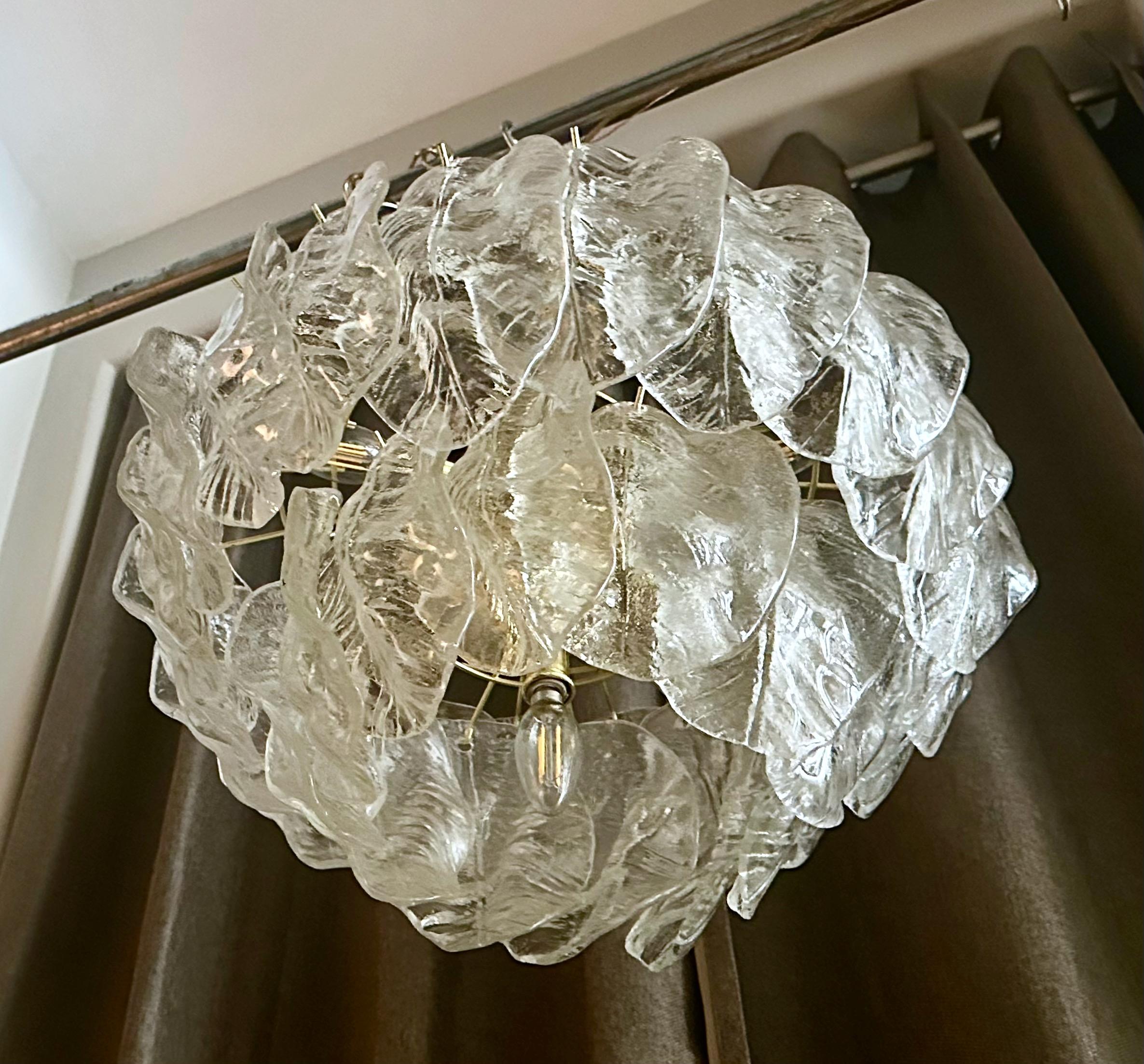 Murano Italian Chandelier Pendant with Glass Leaves 6