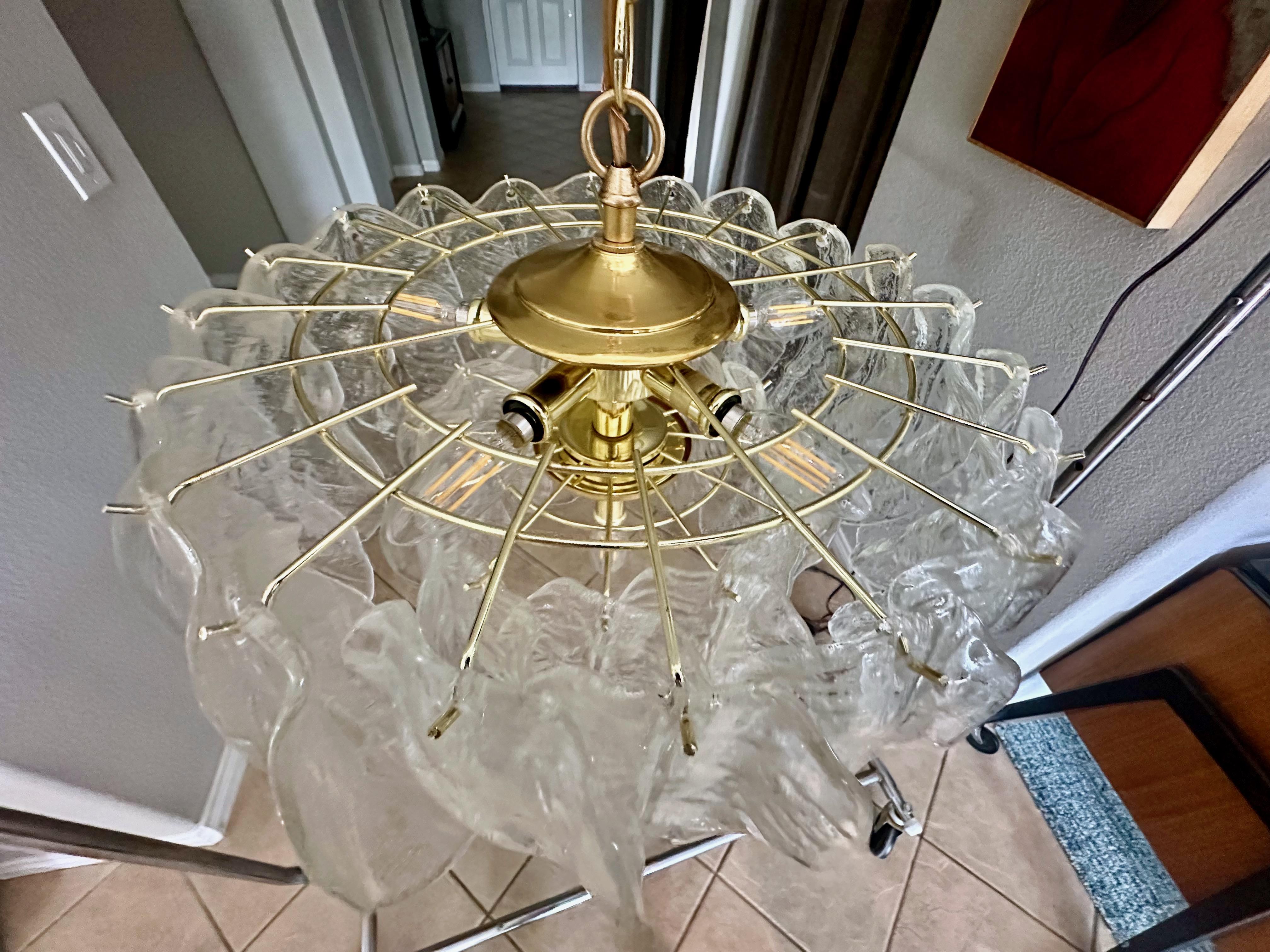 Murano Italian Chandelier Pendant with Glass Leaves 10