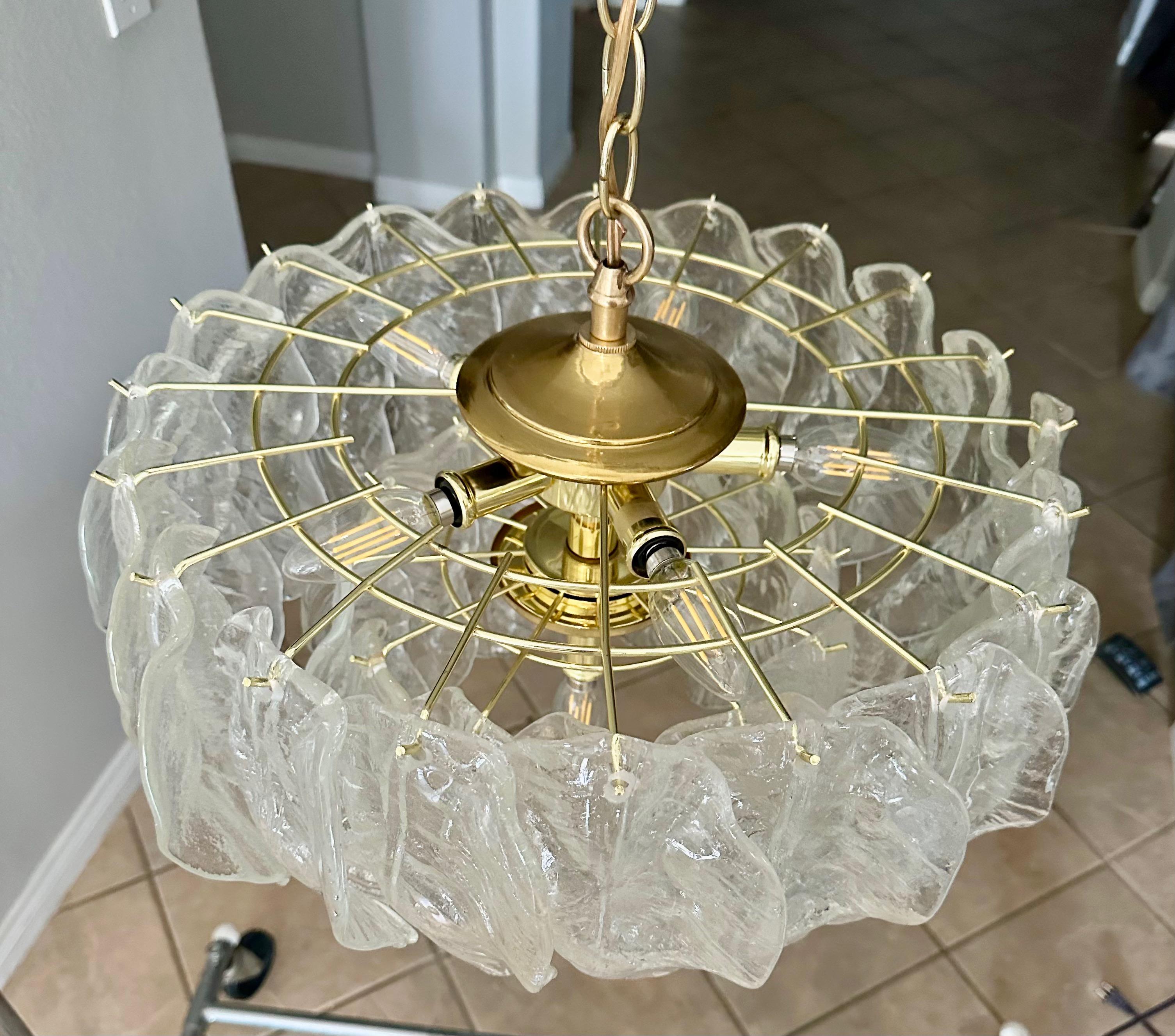 Murano Italian Chandelier Pendant with Glass Leaves 11