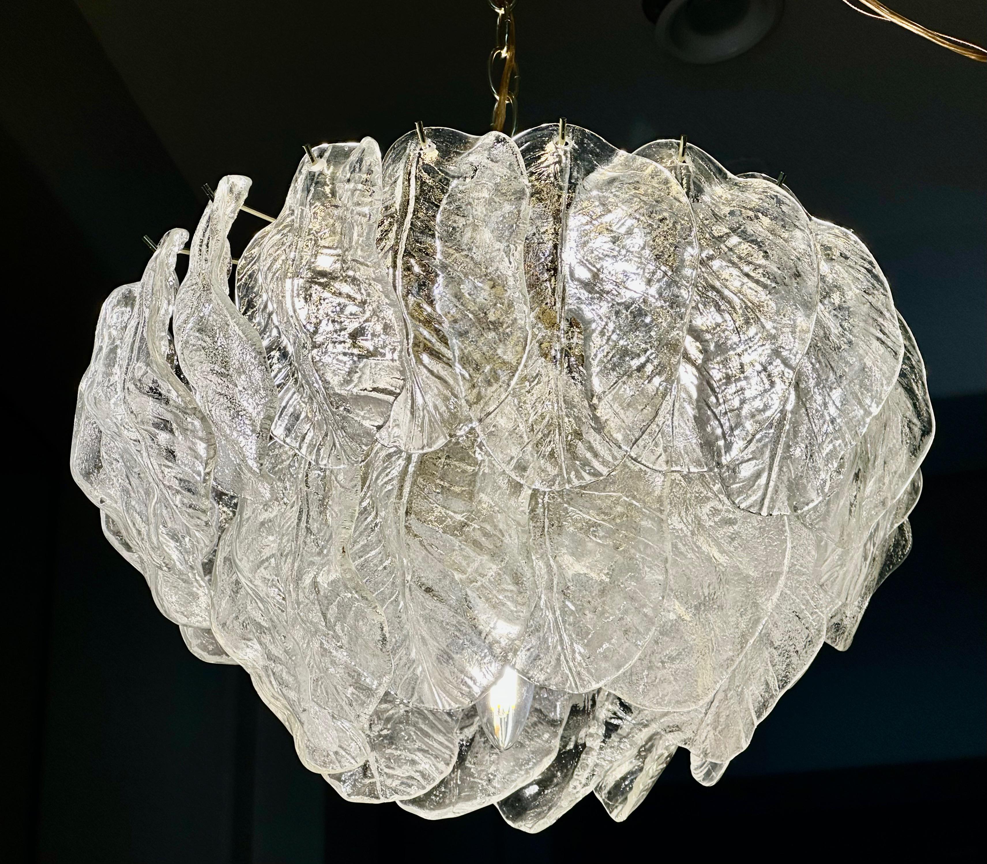 Murano Italian Chandelier Pendant with Glass Leaves 12