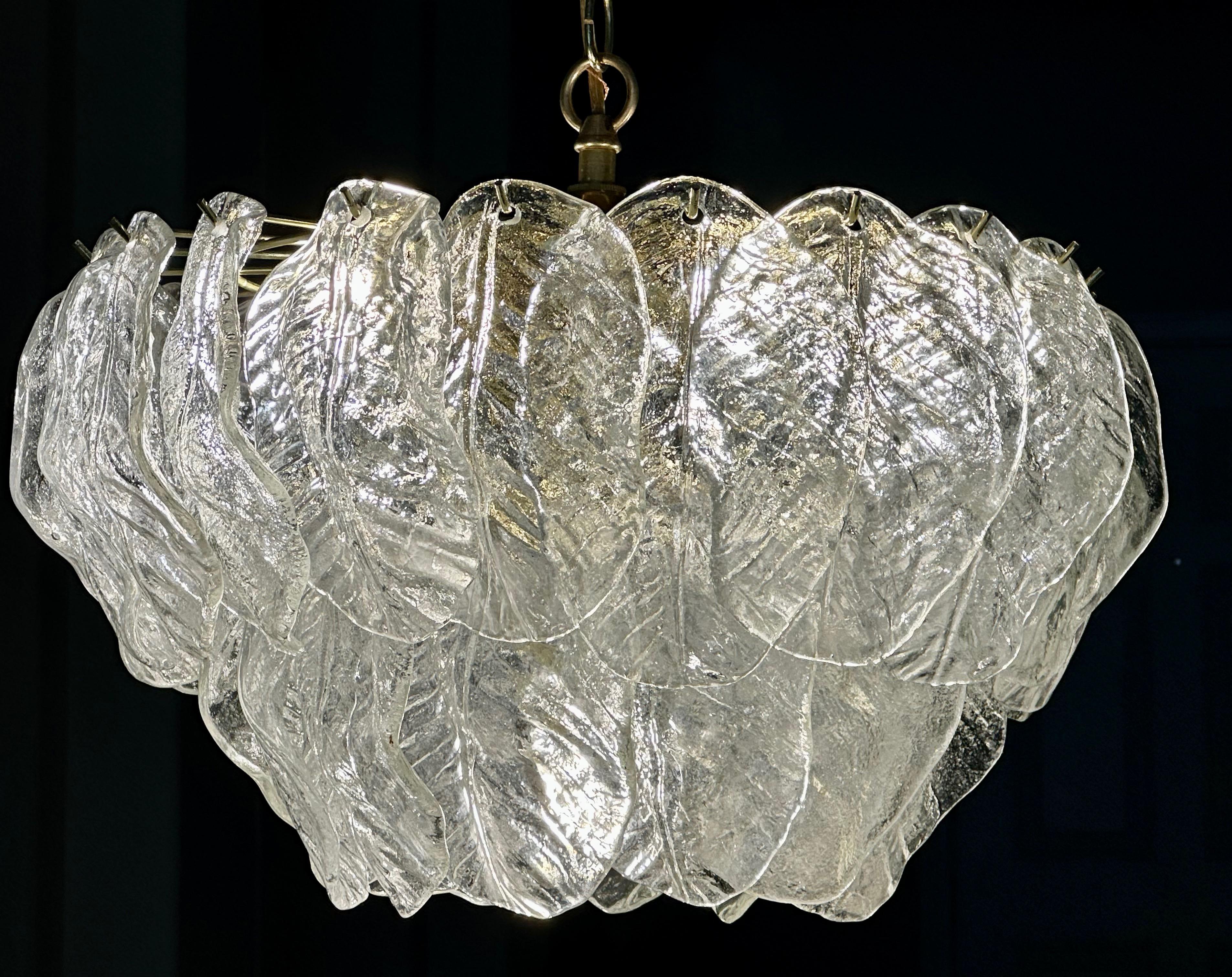 Murano Italian Chandelier Pendant with Glass Leaves 13