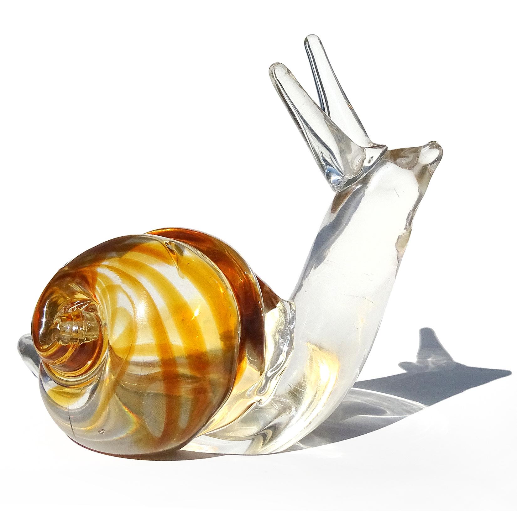 clear snails