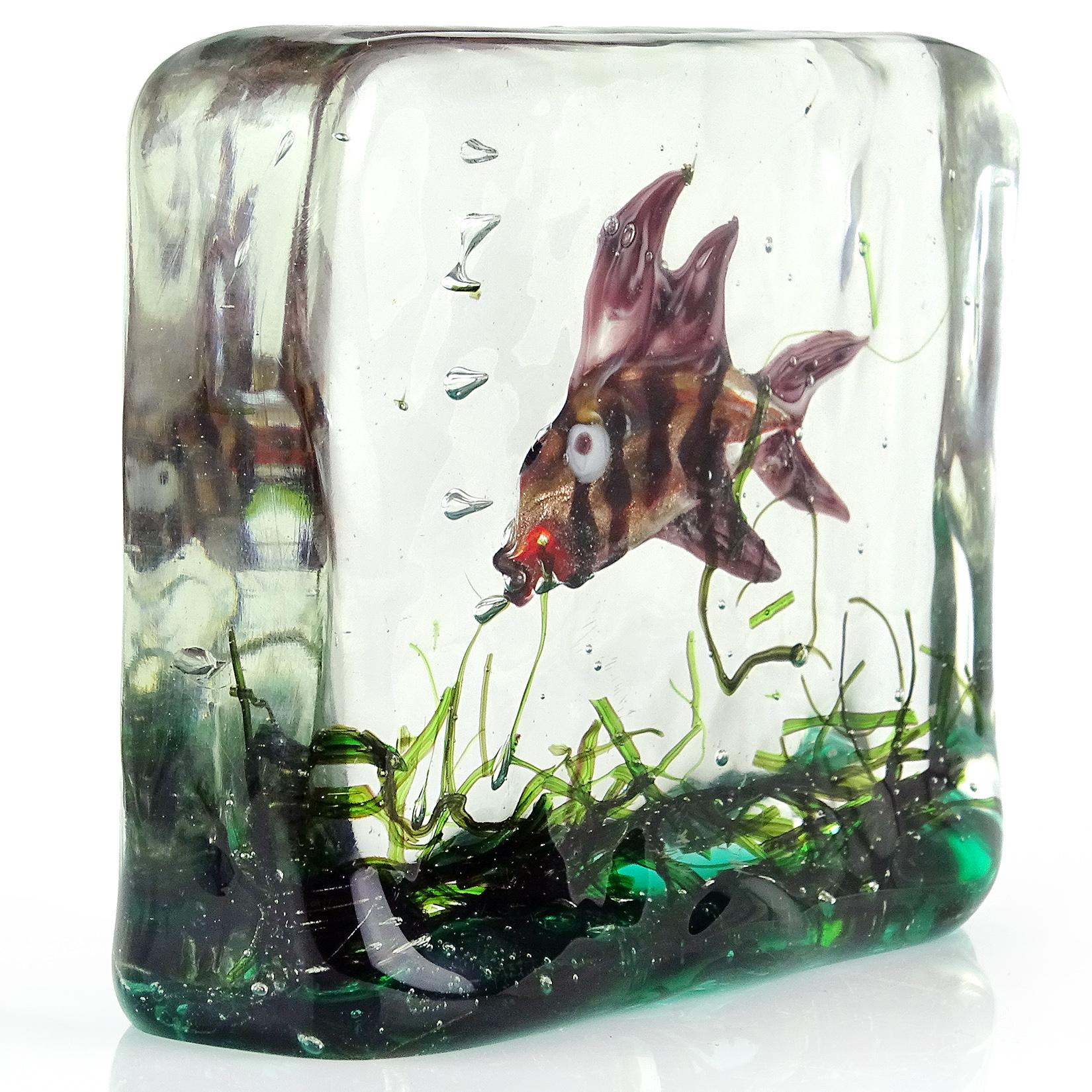 Beautiful Murano hand blown purple, orange and copper aventurine flecks fish Italian art glass aquarium paperweight sculpture. The piece is made with 2 layers of thick glass put together. Has lots of colorful green algae on the bottom. The fish has