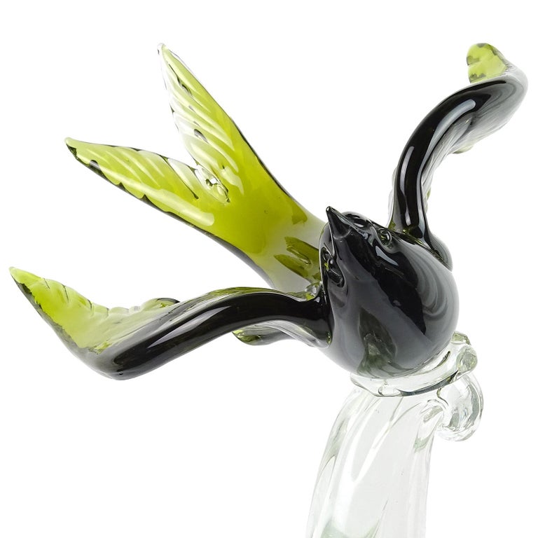 Stream MVTube Italian Swallow Barn Swallow Wikipedia hoerspieli9