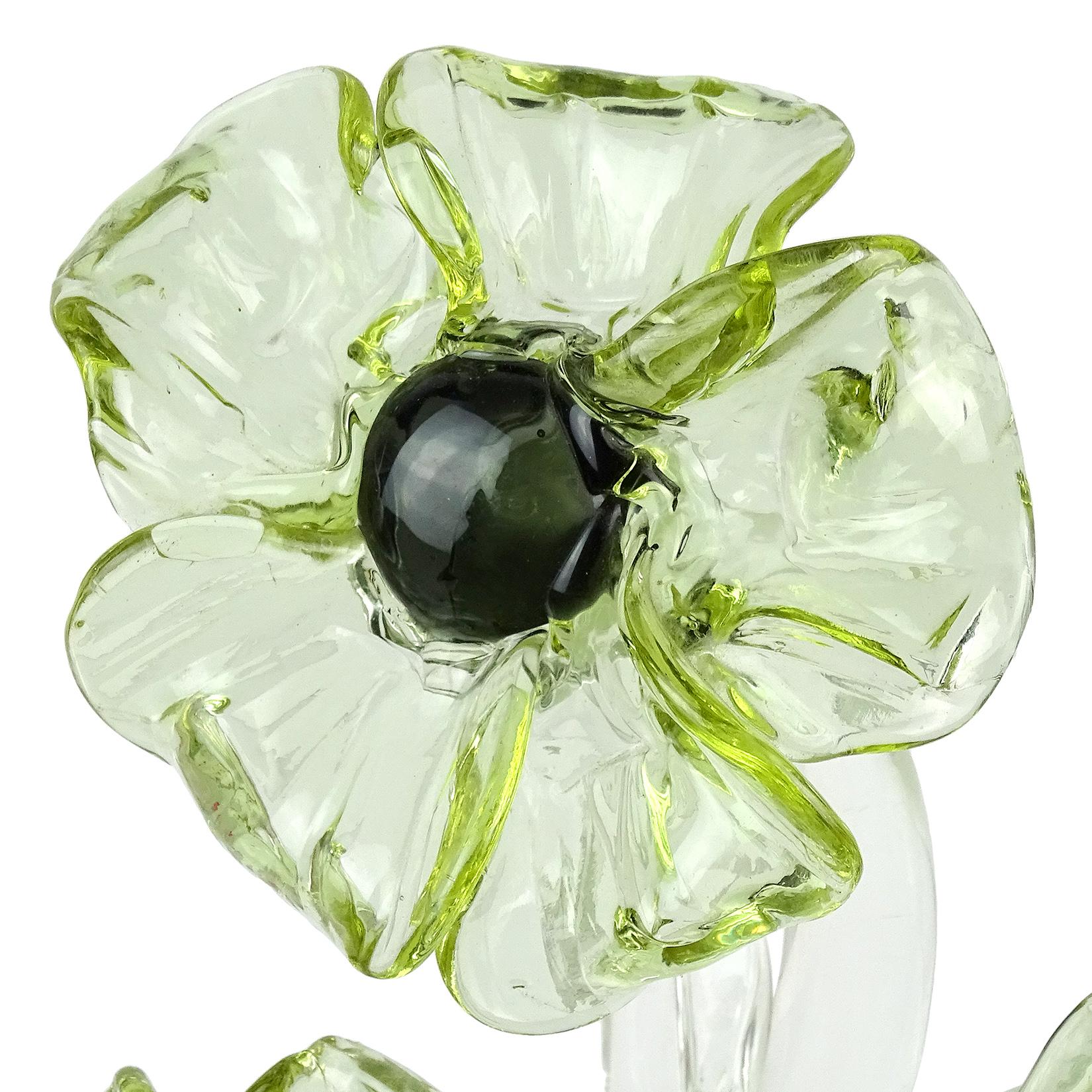Vetro Fiori di Murano trasparenti che cambiano colore Scultura vegetale in vetro artistico italiano in vendita