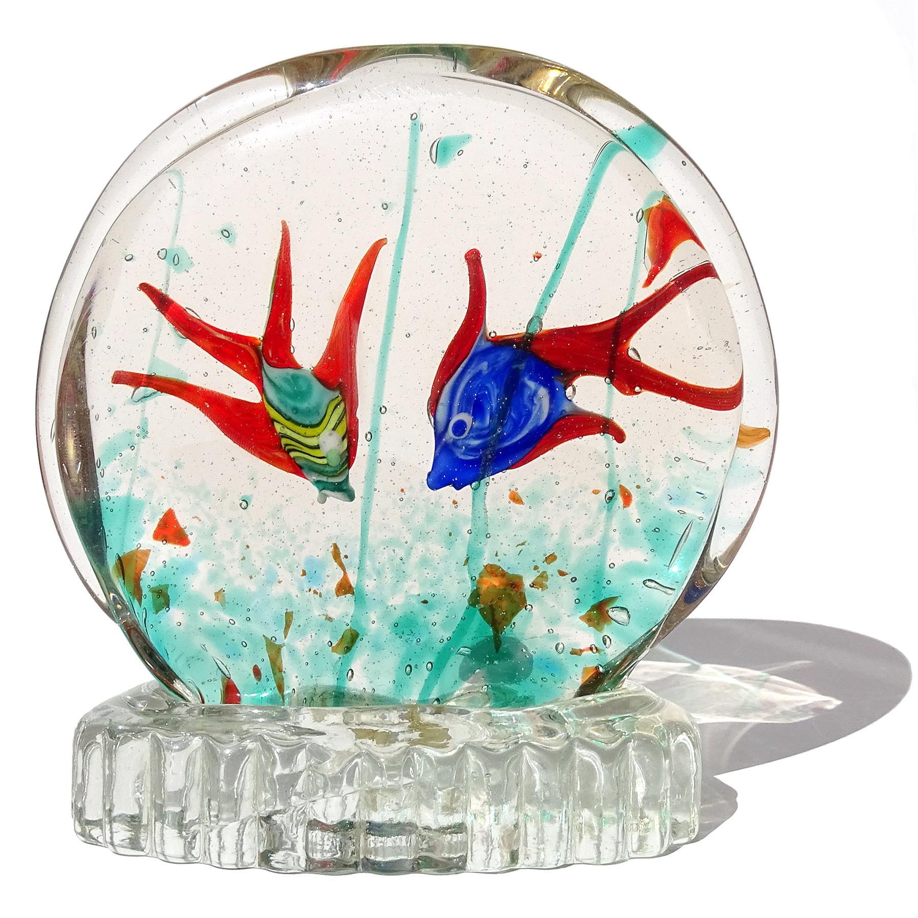 Beautiful vintage Murano hand blown Sommerso double fish aquarium Italian art glass sculpture. Created in the manner of designer Riccardo Licata and the Avem company. One fish has a cobalt blue and red fins design, and the other has a green and