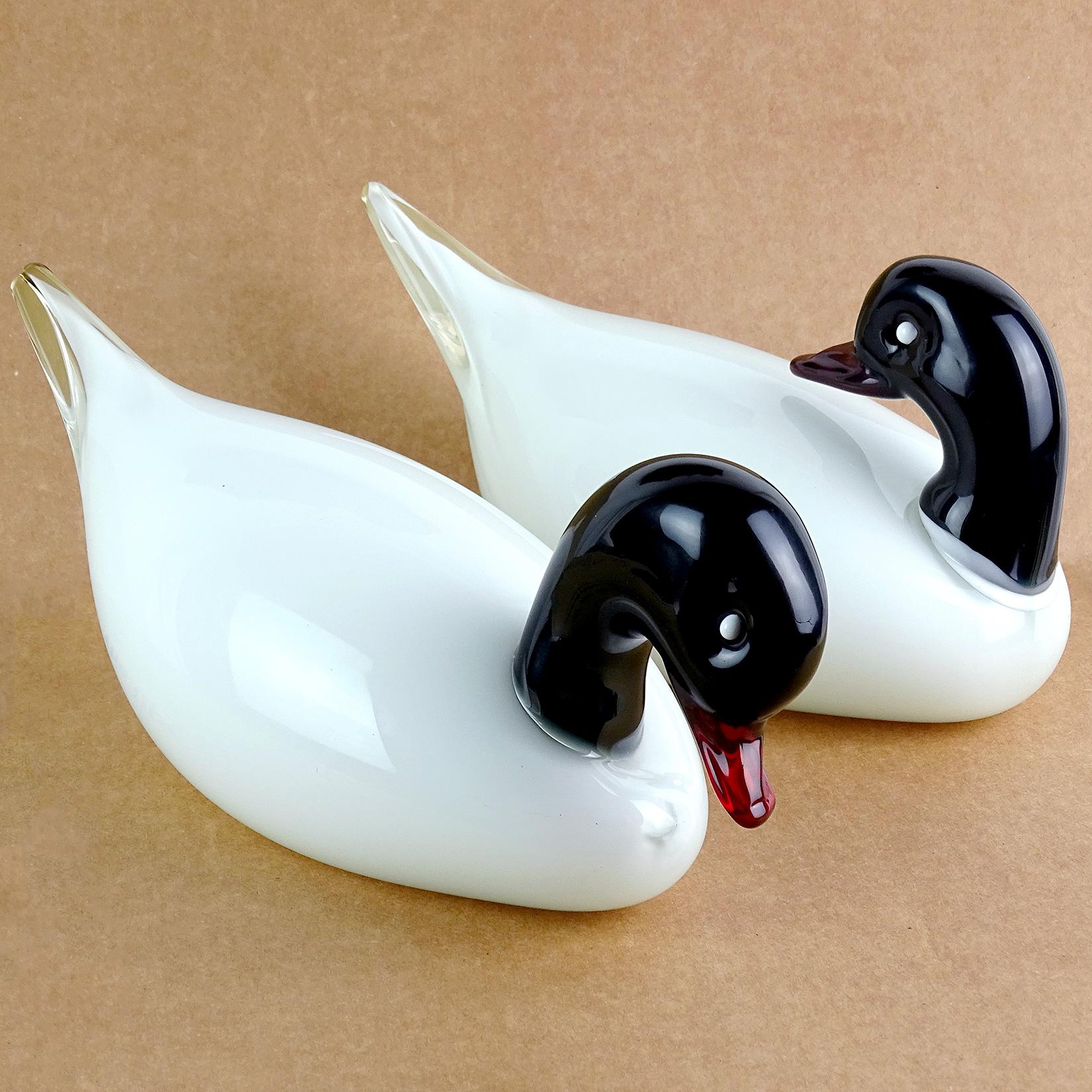 Beautiful, large, and elegant Murano hand blown white with black heads Italian art glass duck sculptures. The male and female pair have white eyes and red beaks. One looks back and another forward. Would be a great pair for the decoy collector or