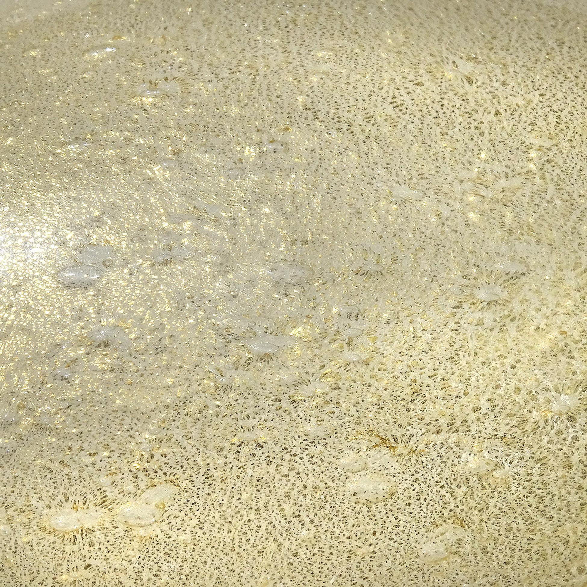 Italienische Entenskulptur aus Murano-Kunstglas in Weiß mit weißen Pulegoso-Blasenblasen und Blattgold (Glas) im Angebot