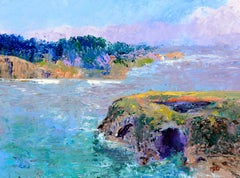 Paesaggio della costa californiana