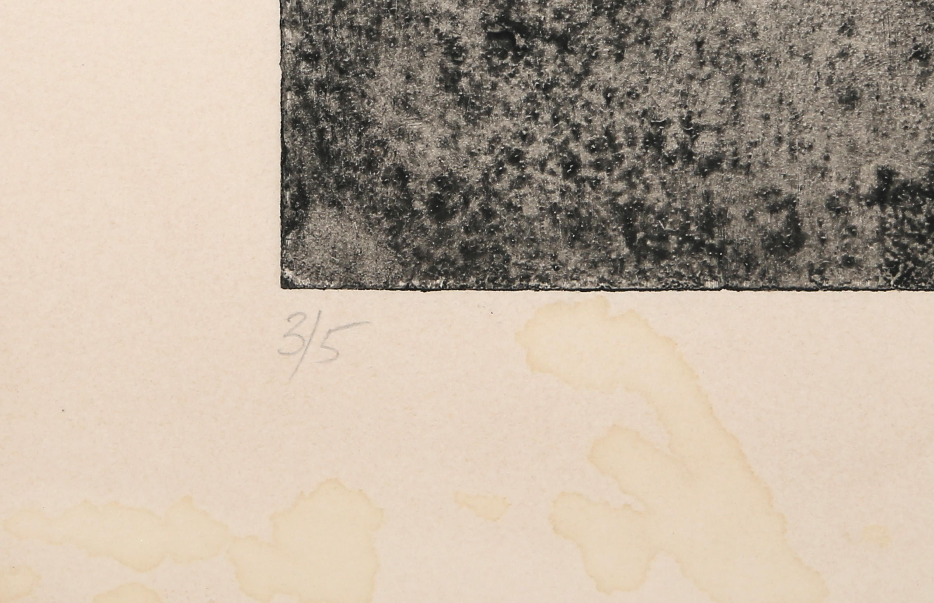 Photogram II, Surrealist Etching with Embossing by Murray Tinkelman For Sale 2