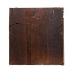 Museum Display of Exotic Butterflies