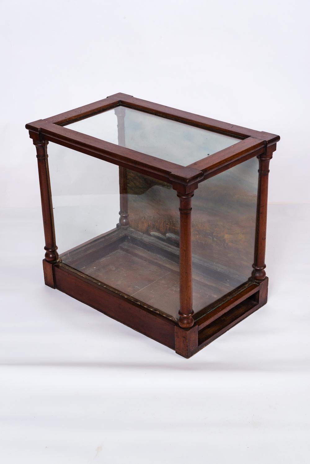  Glass museum display case with a painted landscape back panel.
