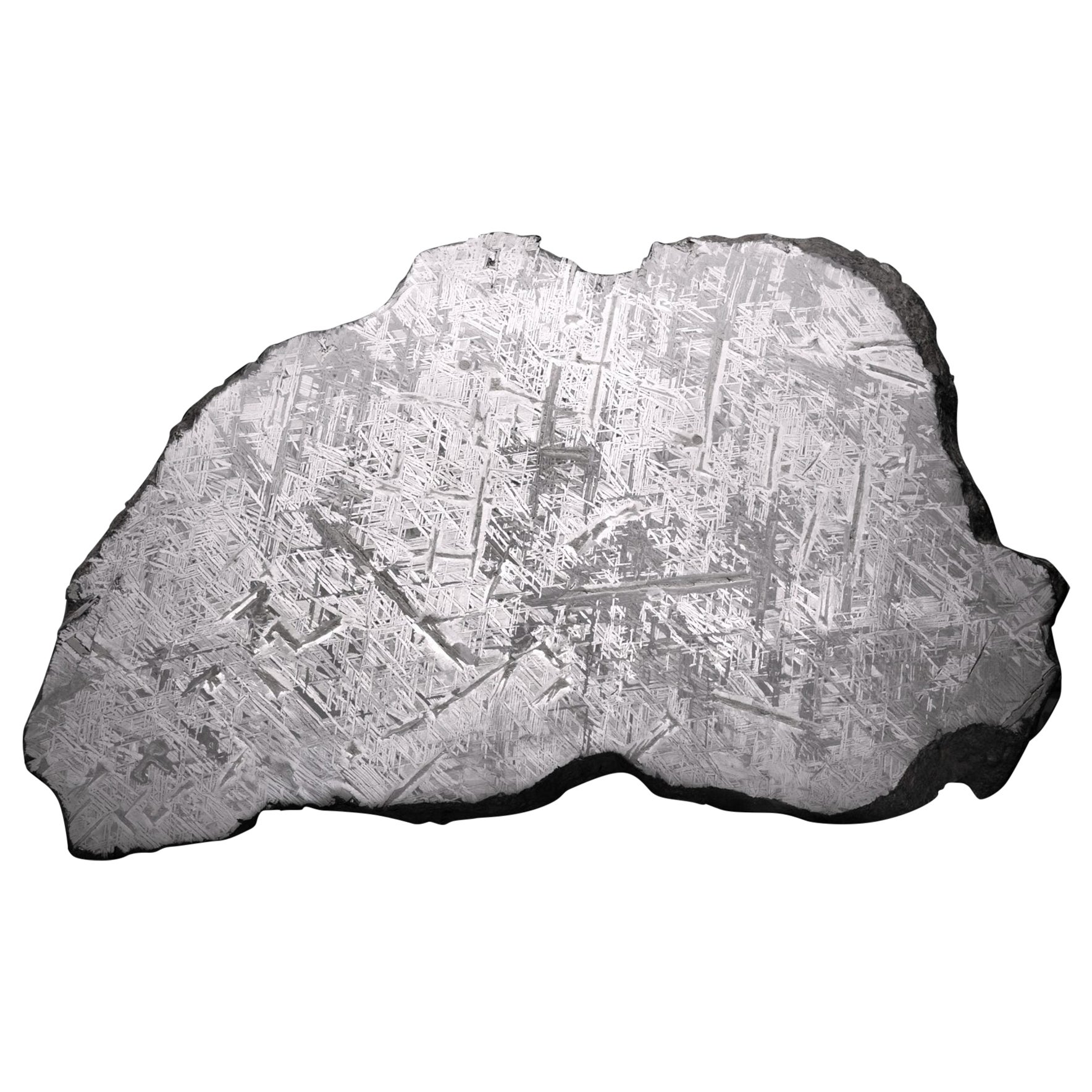 Museum-Grade Genuine 55 lb Aletai Meteorite Slice — Etched Iron with Widmanstätt For Sale
