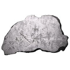 Museum-Grade Genuine 55 lb Aletai Meteorite Slice — Etched Iron with Widmanstätt