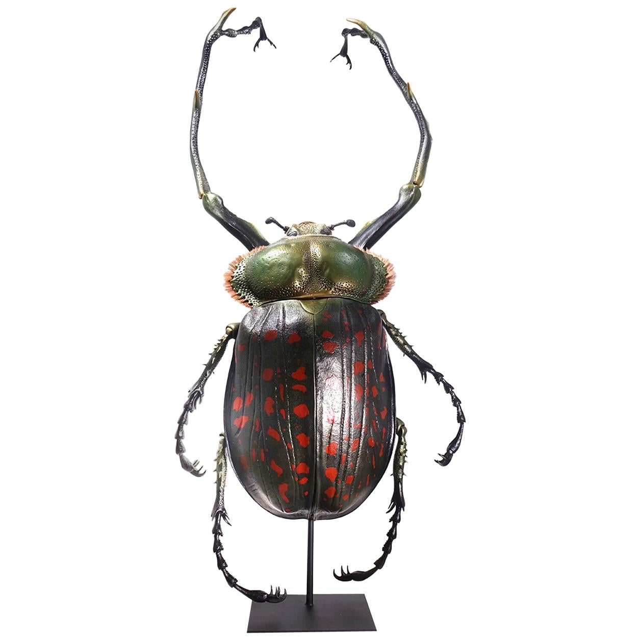 Museum Model of a Cheirotonus Long-Armed Beetle