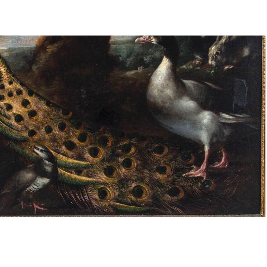 A rare pair of old master paintings having been painted over 200 years ago or longer depicting exotic birds. Correct colors of each bird painted with detailed brushwork making each feather lifelike and genuine. Surely the work of a known master