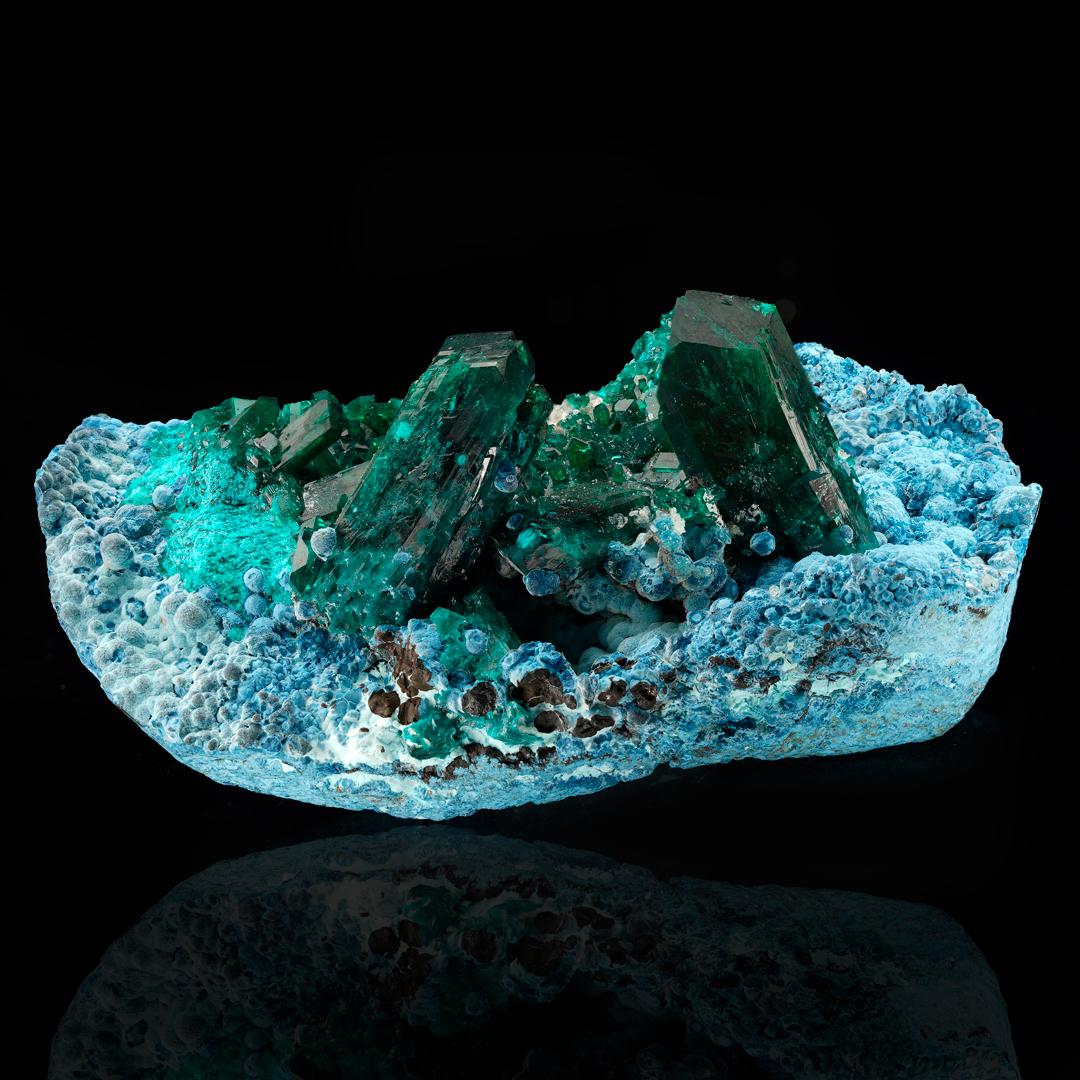 This truly one of a kind, show-stopping piece from the DRC brings serious presence. With thumb-size dioptase crystals – the largest measuring an 3.8 cm long by 1.6 cm in diameter – on a matrix of pale blue plancheite, another carbon-based mineral,