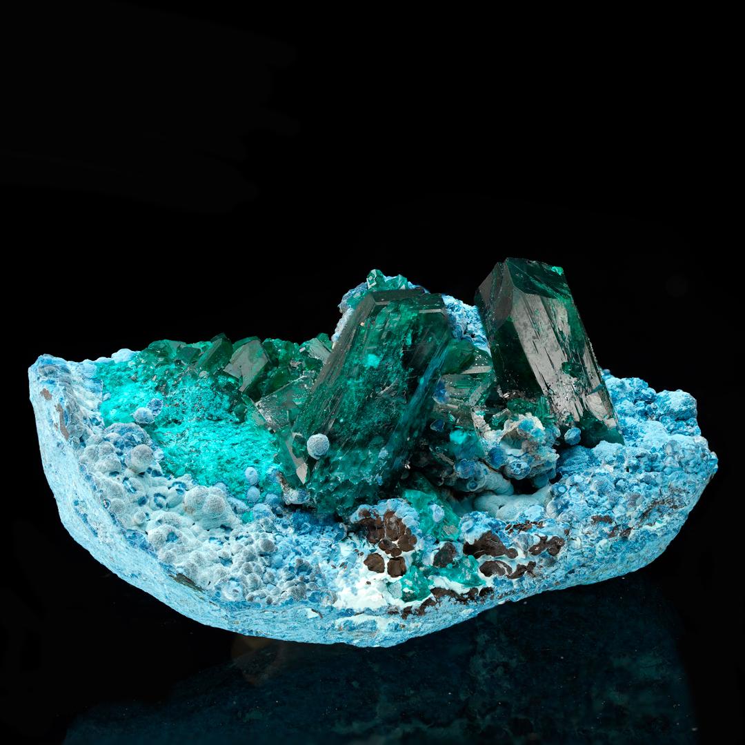Contemporary Museum Quality Dioptase on Plancheite For Sale