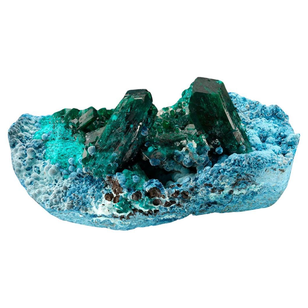 Museum Quality Dioptase on Plancheite
