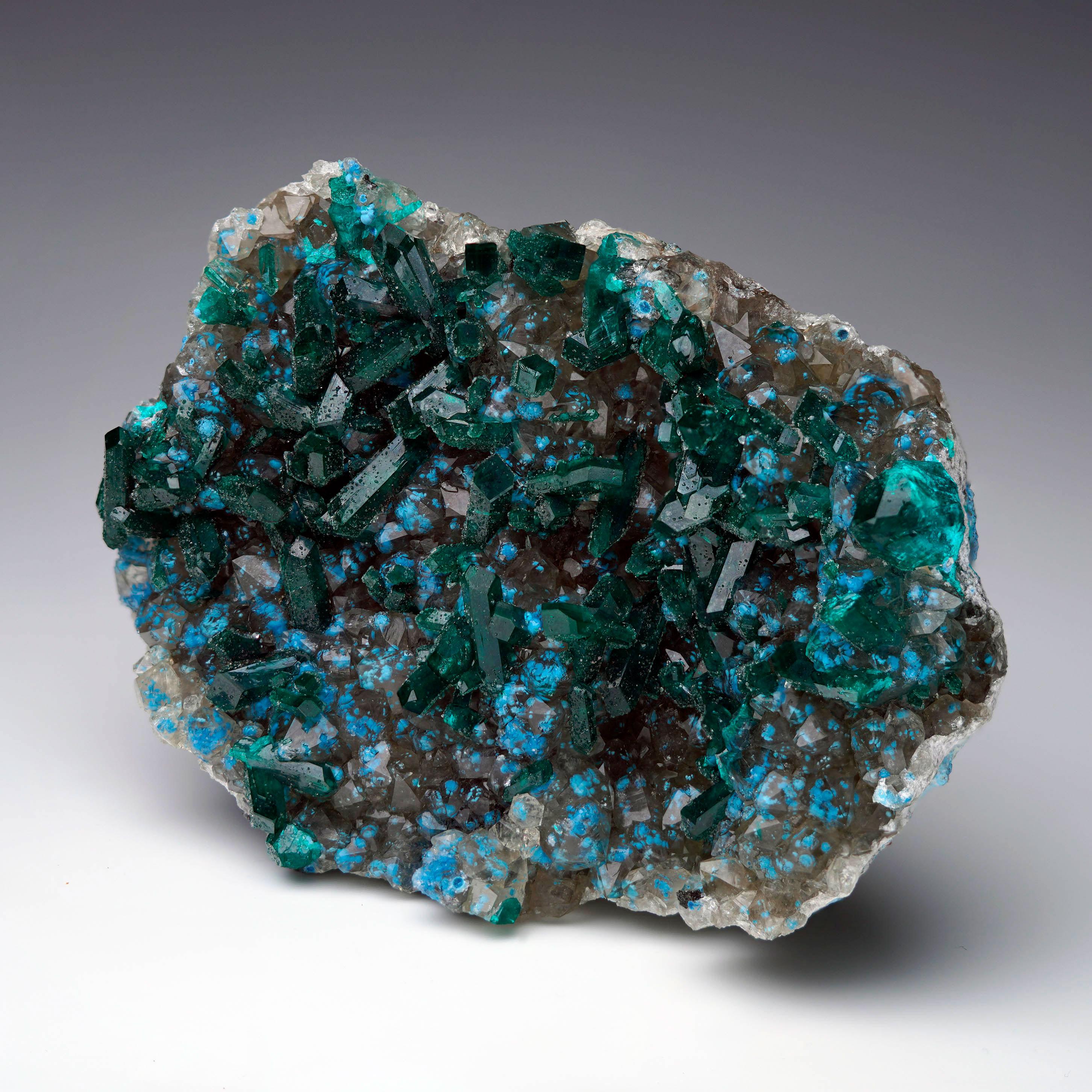 Questo esemplare dal contrasto vibrante mostra cristalli di diottasio verde smeraldo di dimensioni da moderate a grandi che coronano una matrice di Calcite cristallizzata e bellissima, punteggiata da rare formazioni di Plancheite blu polvere che si