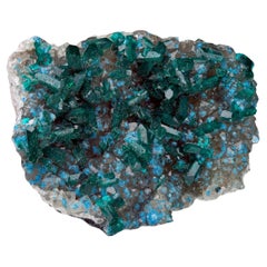 Museum Quality Dioptase With Plancheite on Calcite