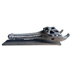 Réplica de calidad de museo de un cráneo de gavial montado en un panel de madera maciza