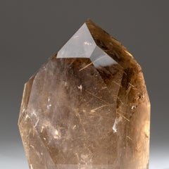 Pointe de quartz rutile argenté de qualité musée, originaire du Brésil (7 livres)