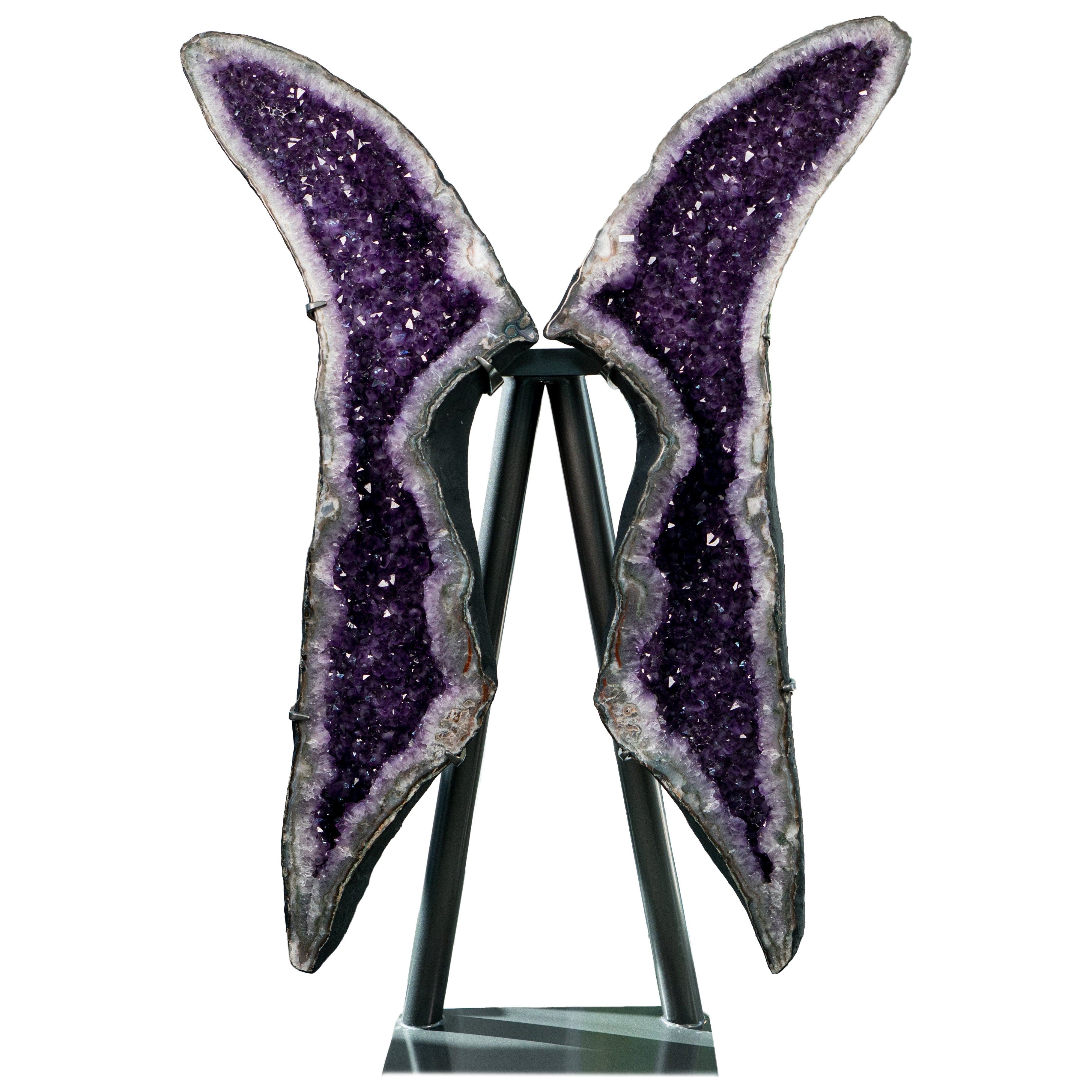 Museum-Scale Amethyst Wings Pair