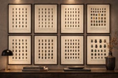 Museum Style Beetle Specimen Plates, Victorian Entomology Prints, Set of 8