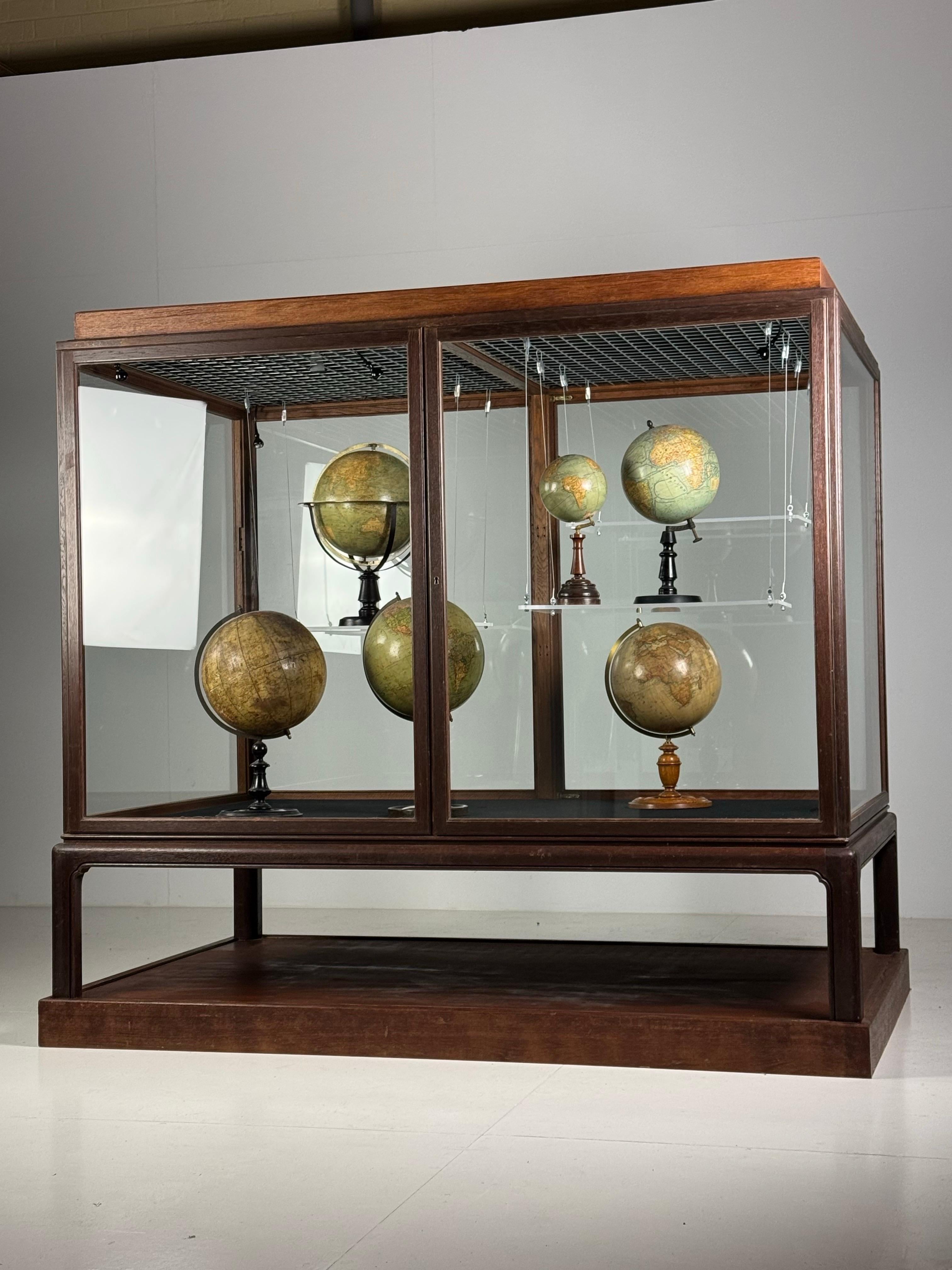 Museum vitrine oak 1900 5