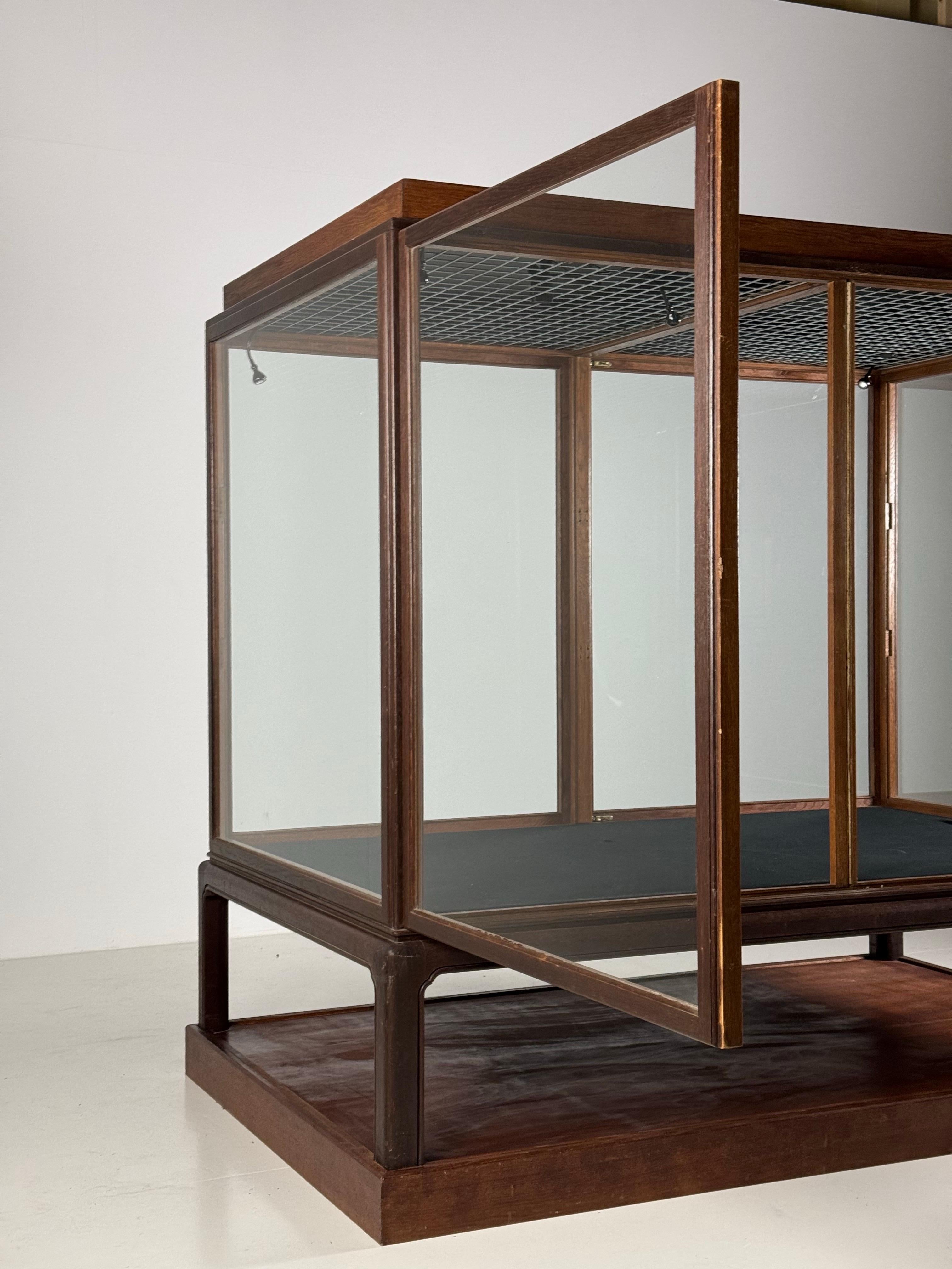 Museum vitrine oak 1900 7