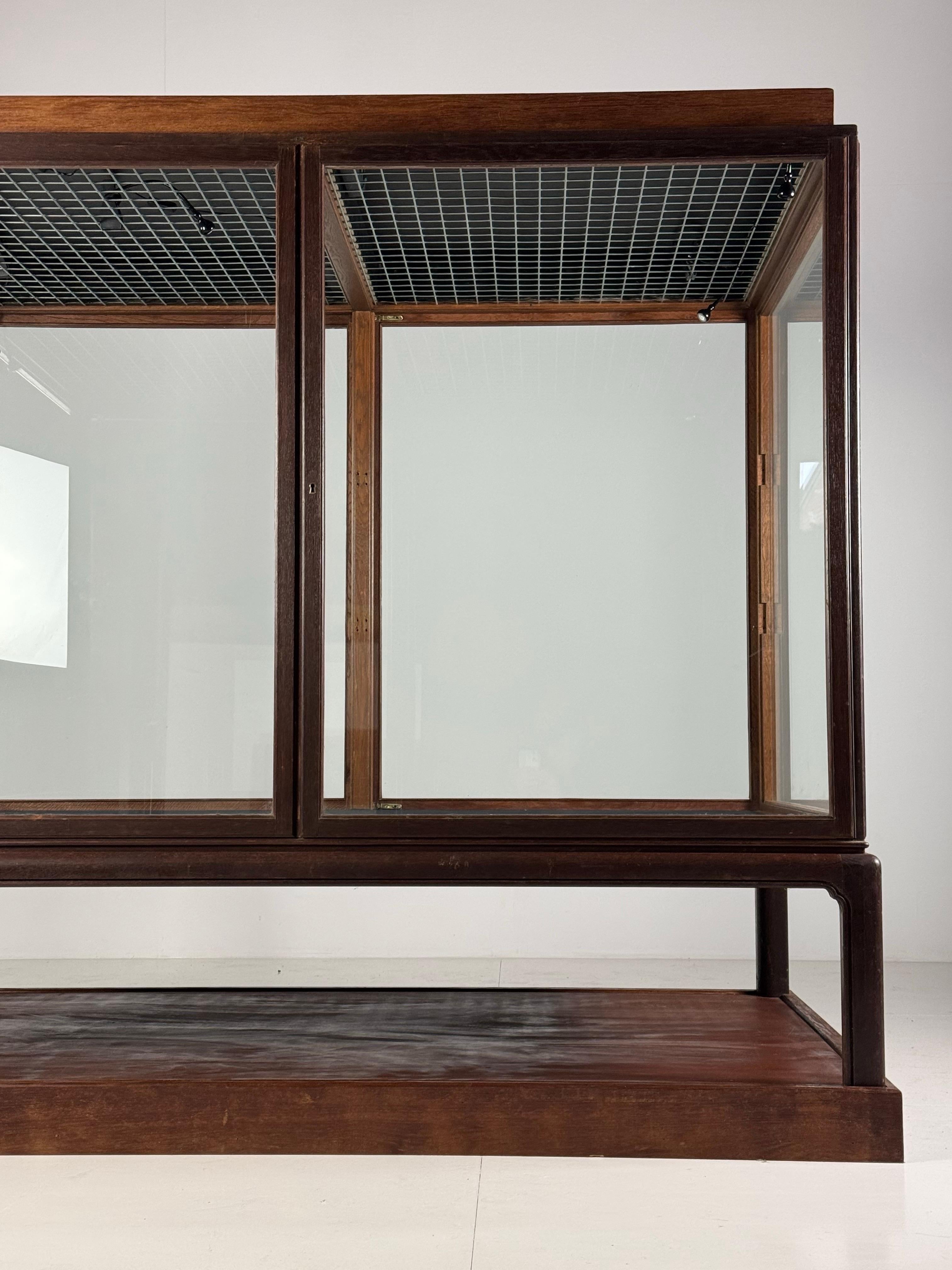 Museum vitrine oak 1900 8