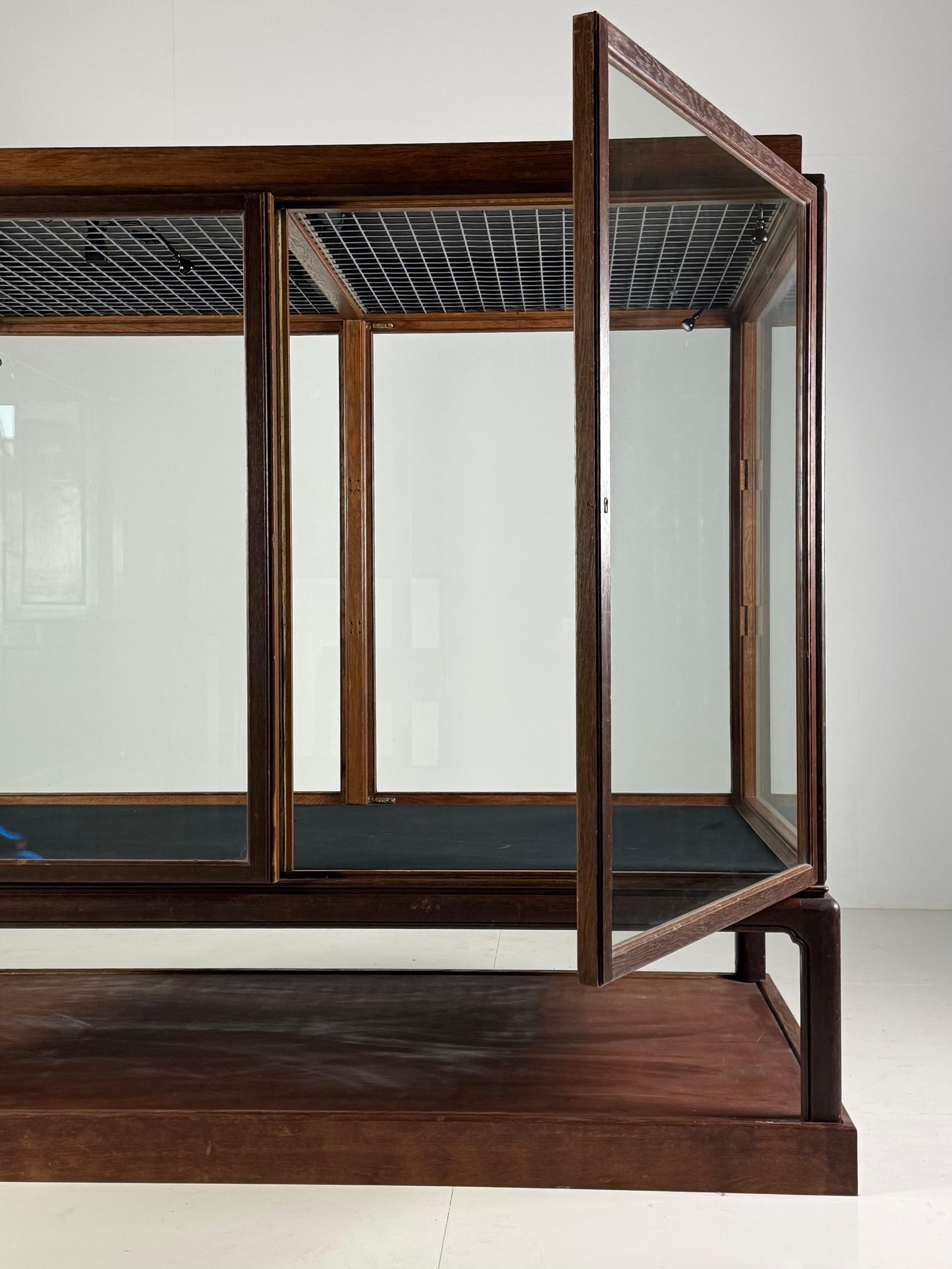 20th Century Museum vitrine oak 1900
