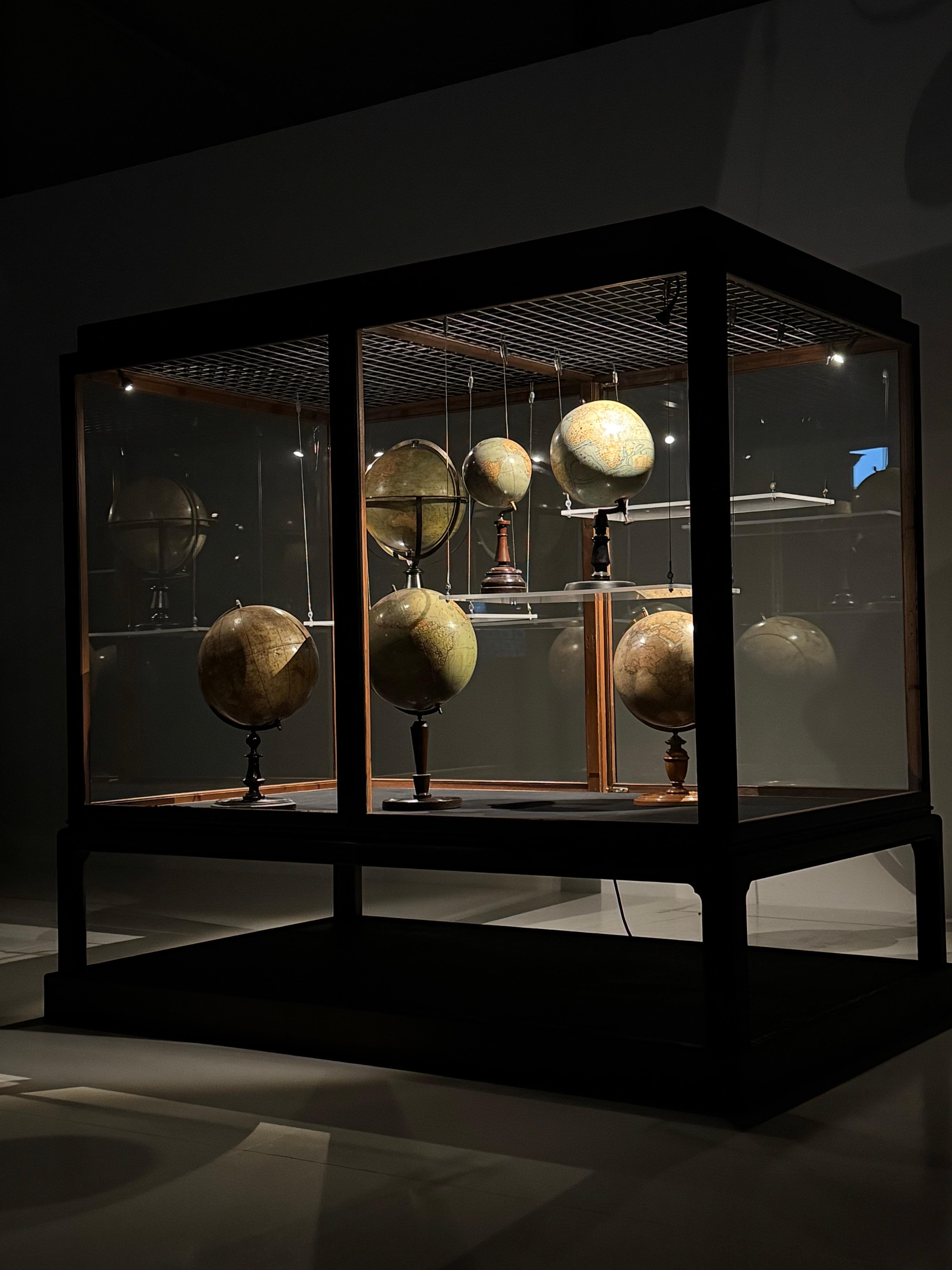 Museum vitrine oak 1900 2