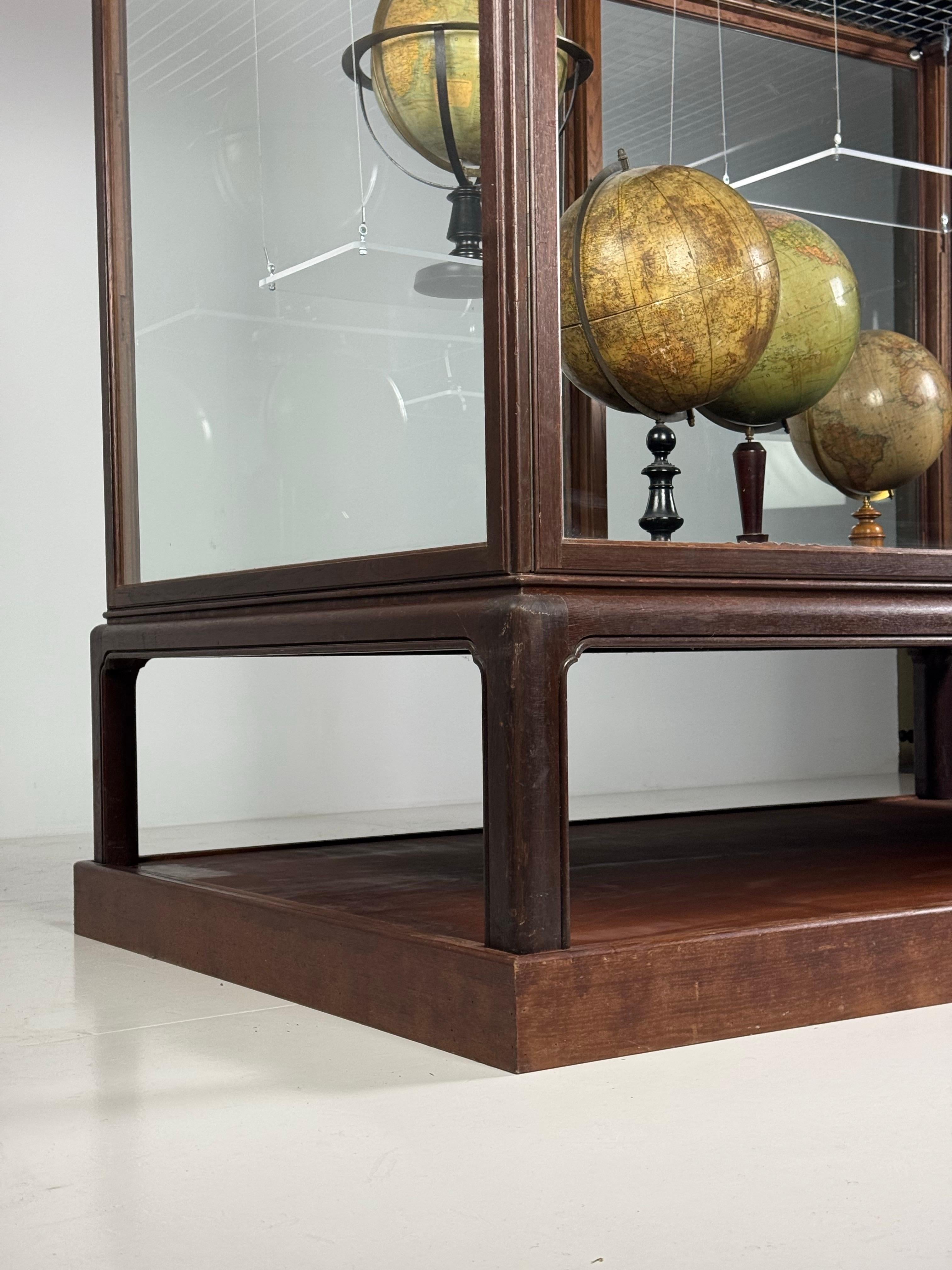 Museum vitrine oak 1900 4