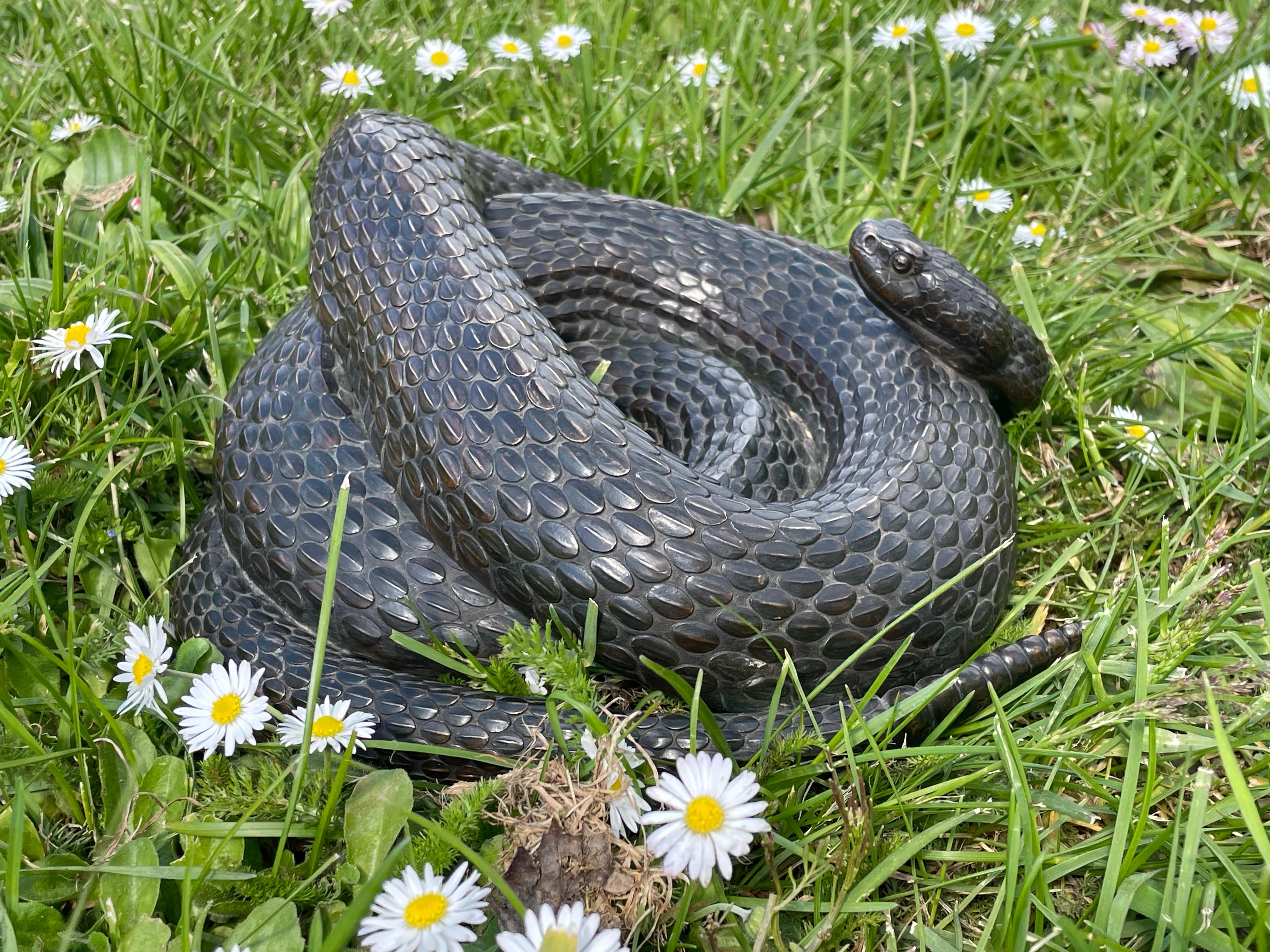 Scultura di serpente a sonagli a spirale in bronzo antico degna di un museo, firmata e marcata 1885 9