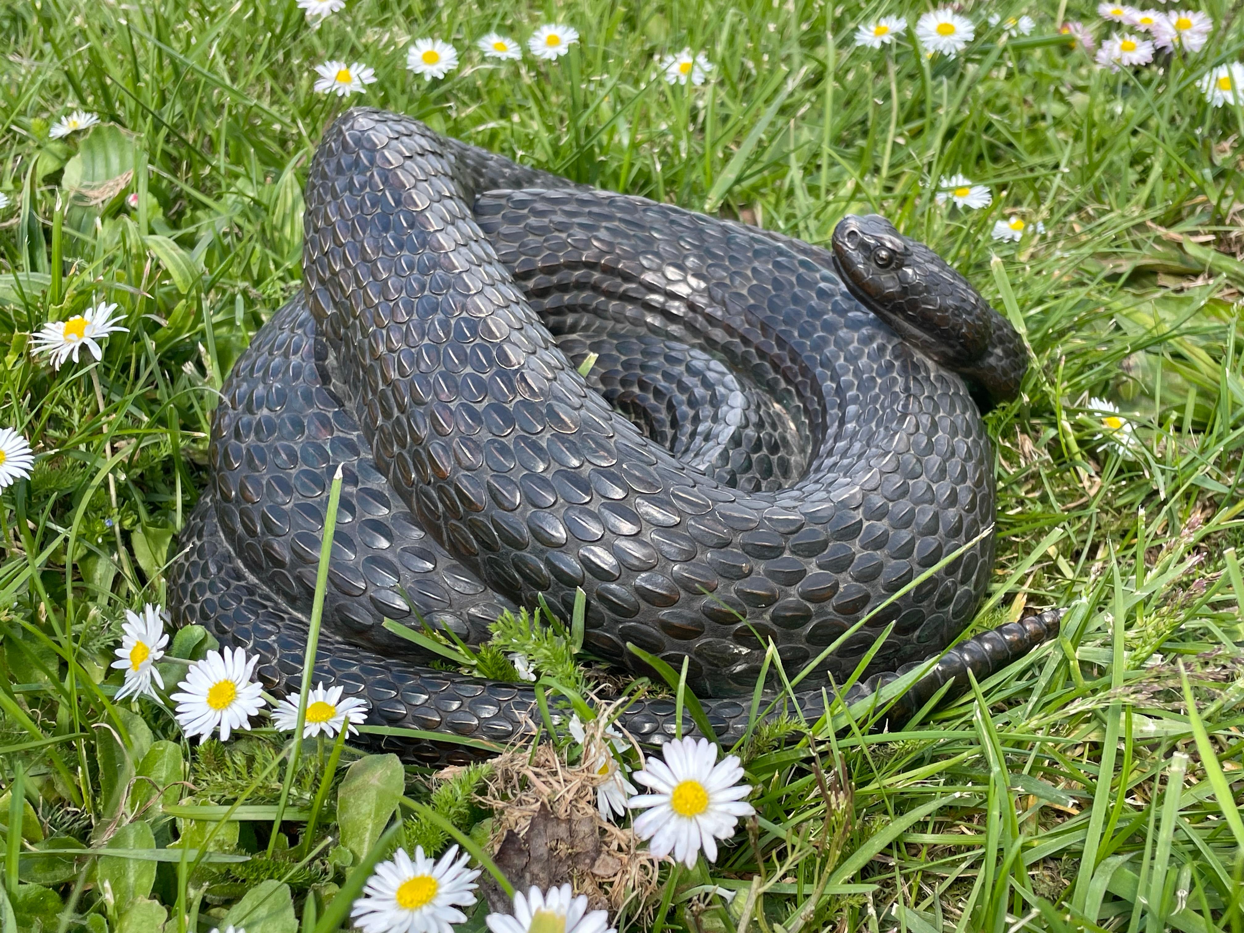 Museum Worthy Antique Bronze Coiled Rattlesnake Sculpture Signed & Marked 1885  For Sale 13