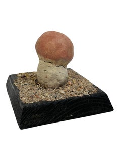 Mushroom Botanical Scientific Specimen Model Europe,  1950s or older