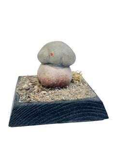 Mushroom Botanical Scientific Specimen Model Europe,  1950s or older